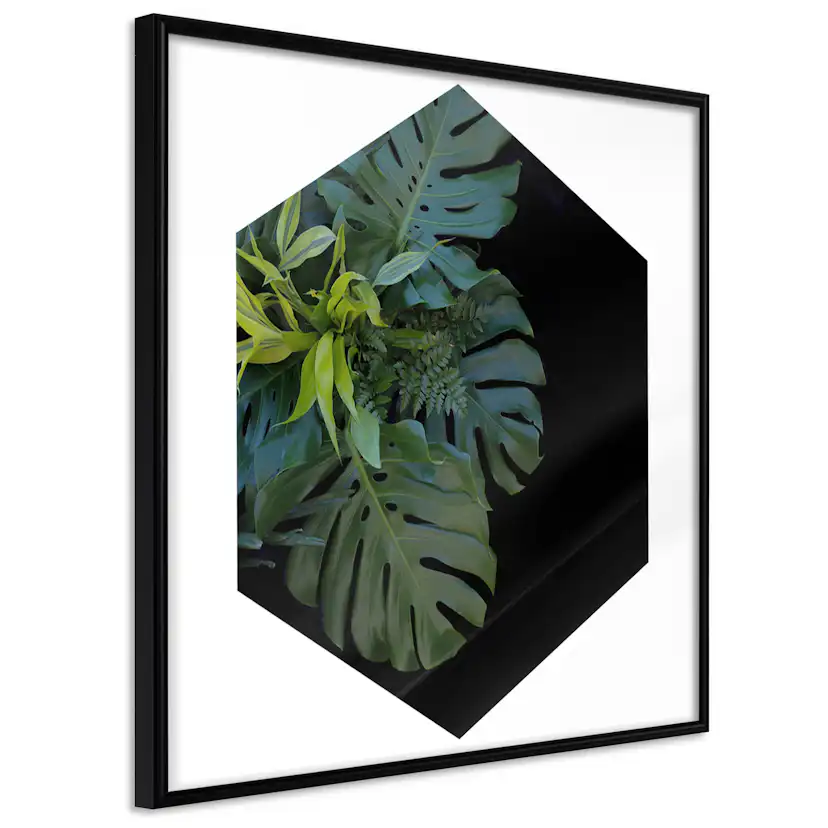 Poster Artgeist Affisch Plant Hexagon