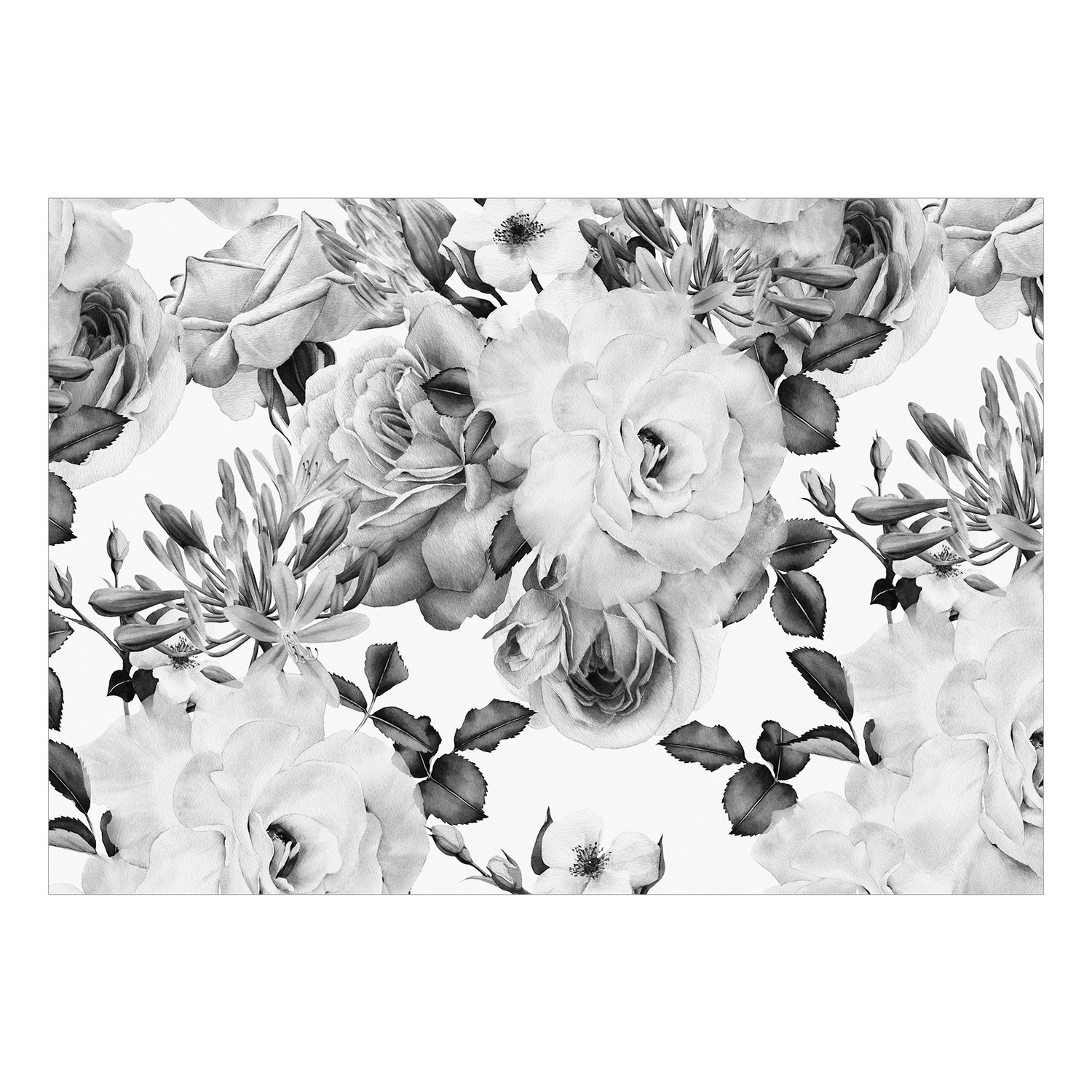 Fototapet Arkiio Självhäftande Sentimental Garden Black And White