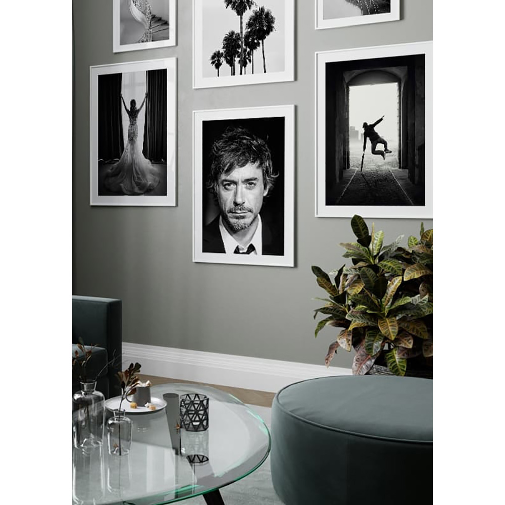 Poster Gallerix Robert Downey Jr