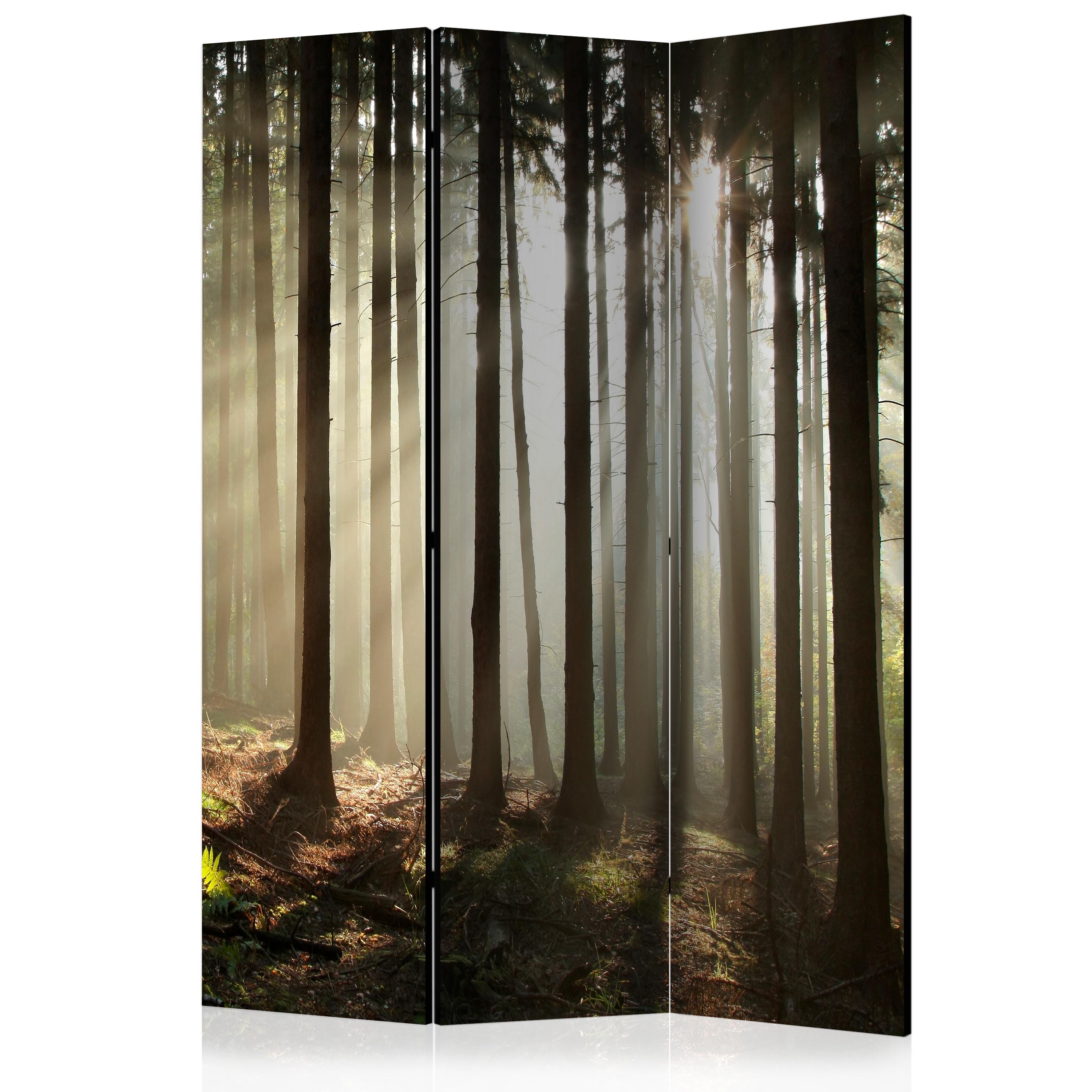 Rumsavdelare Skärmvägg Arkiio Coniferous Forest 135x172 cm