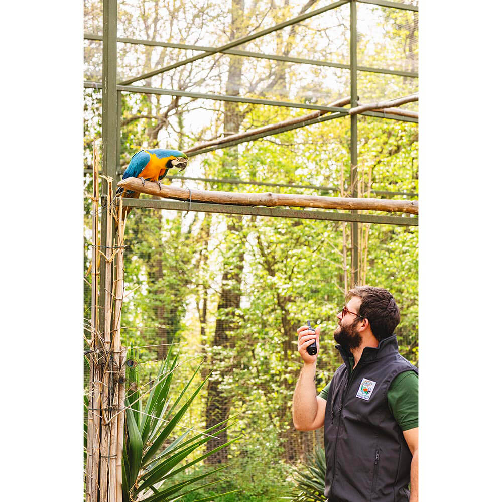 Walkie Talkie Midland XT70 Pro Duo Svart/Mörkgrå