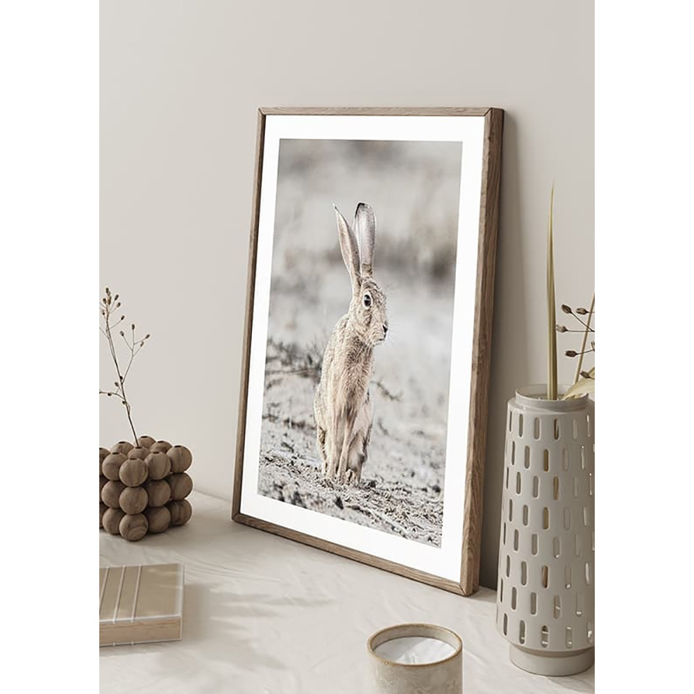 Poster Gallerix Hare Up Close