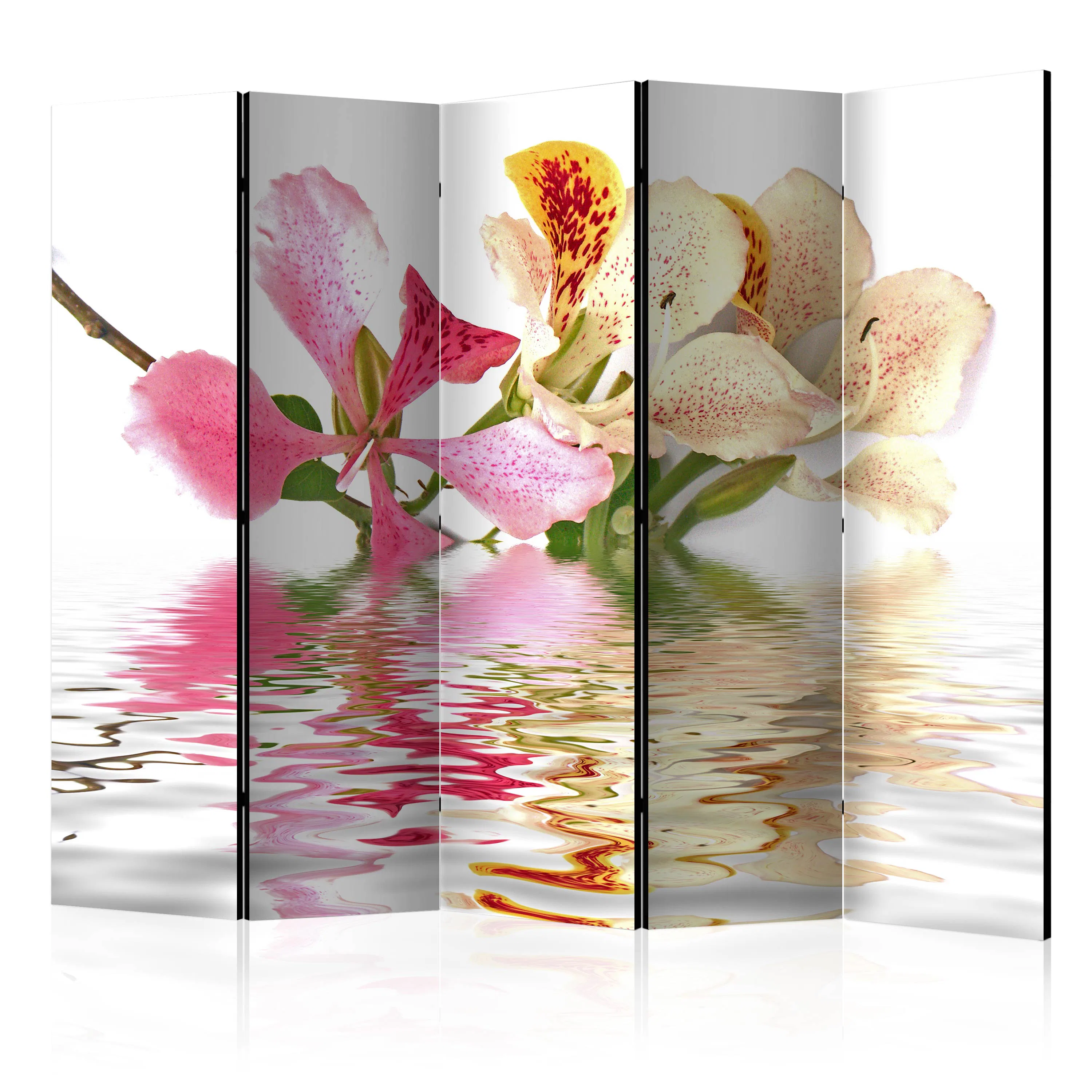 Rumsavdelare Skärmvägg Arkiio Tropical Flowers Orchid Tree Bauhinia II 225x172 cm