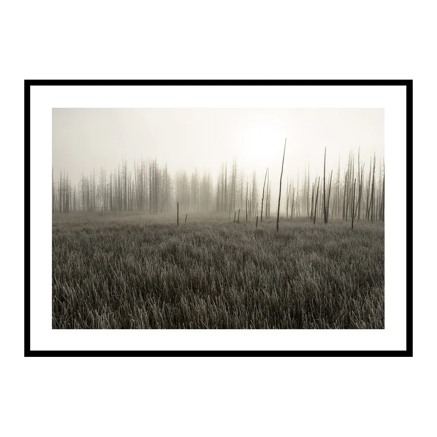 Poster Gallerix Tangled Creek