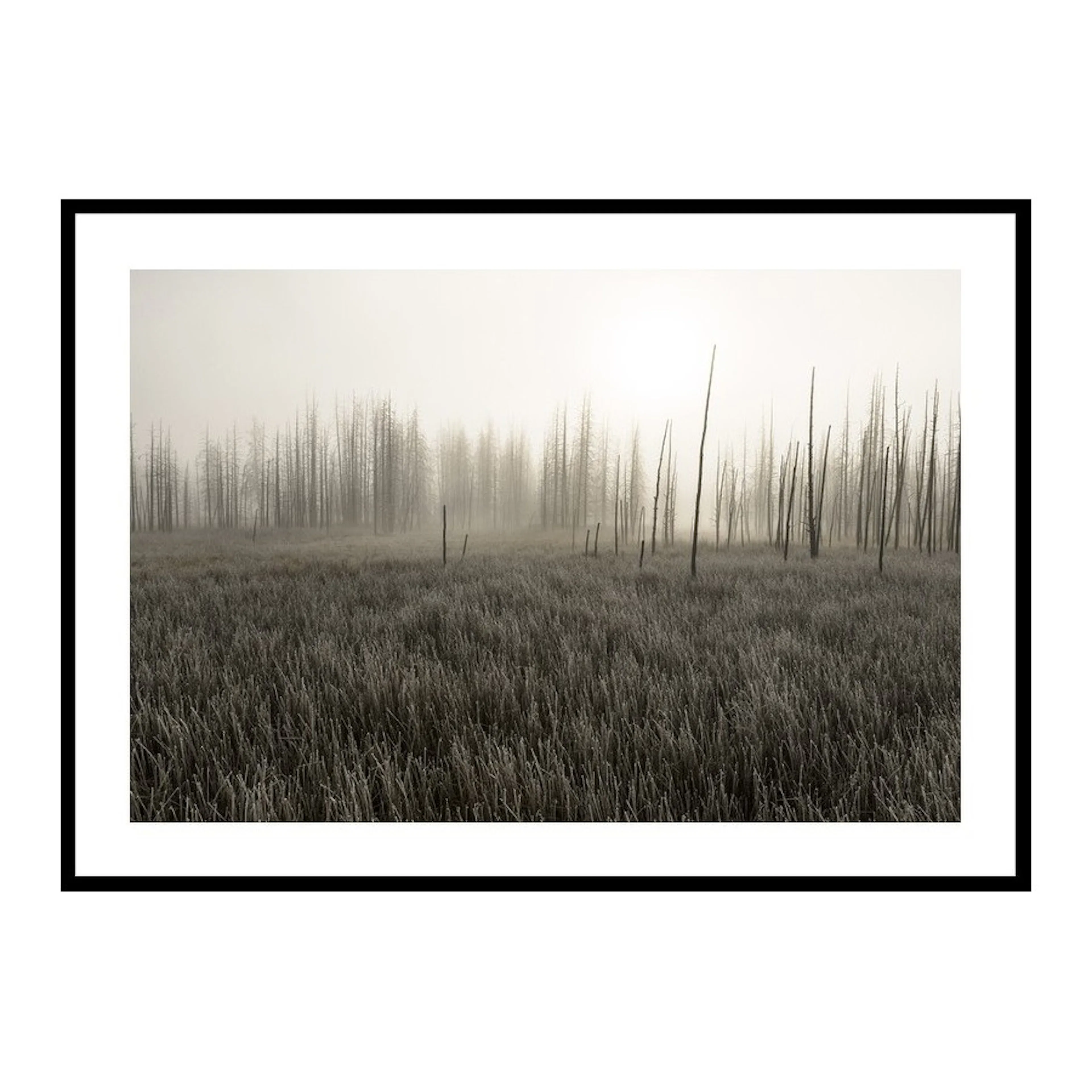 Poster Gallerix Tangled Creek