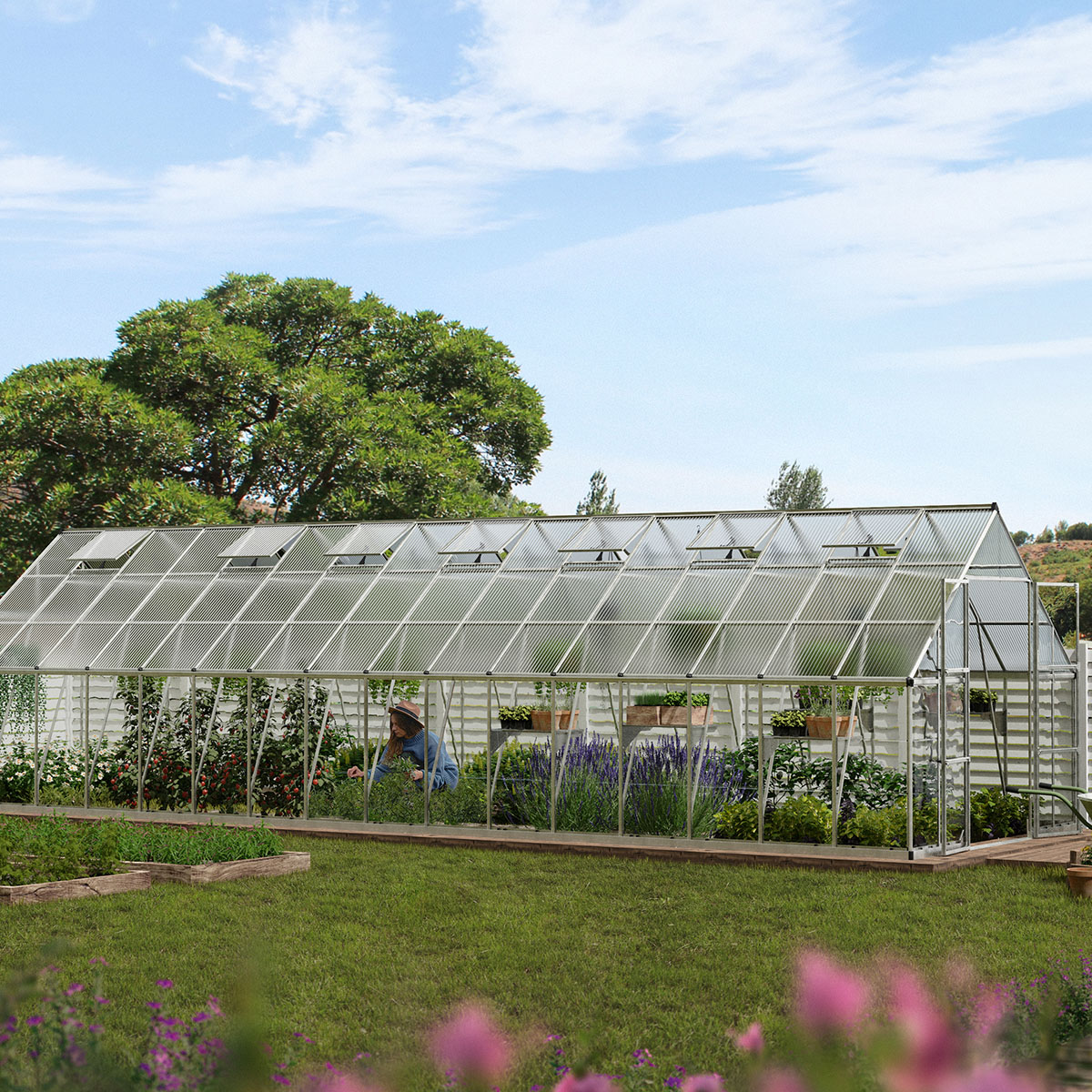 Växthus Canopia by Palram Balance 28,7 m² Silver