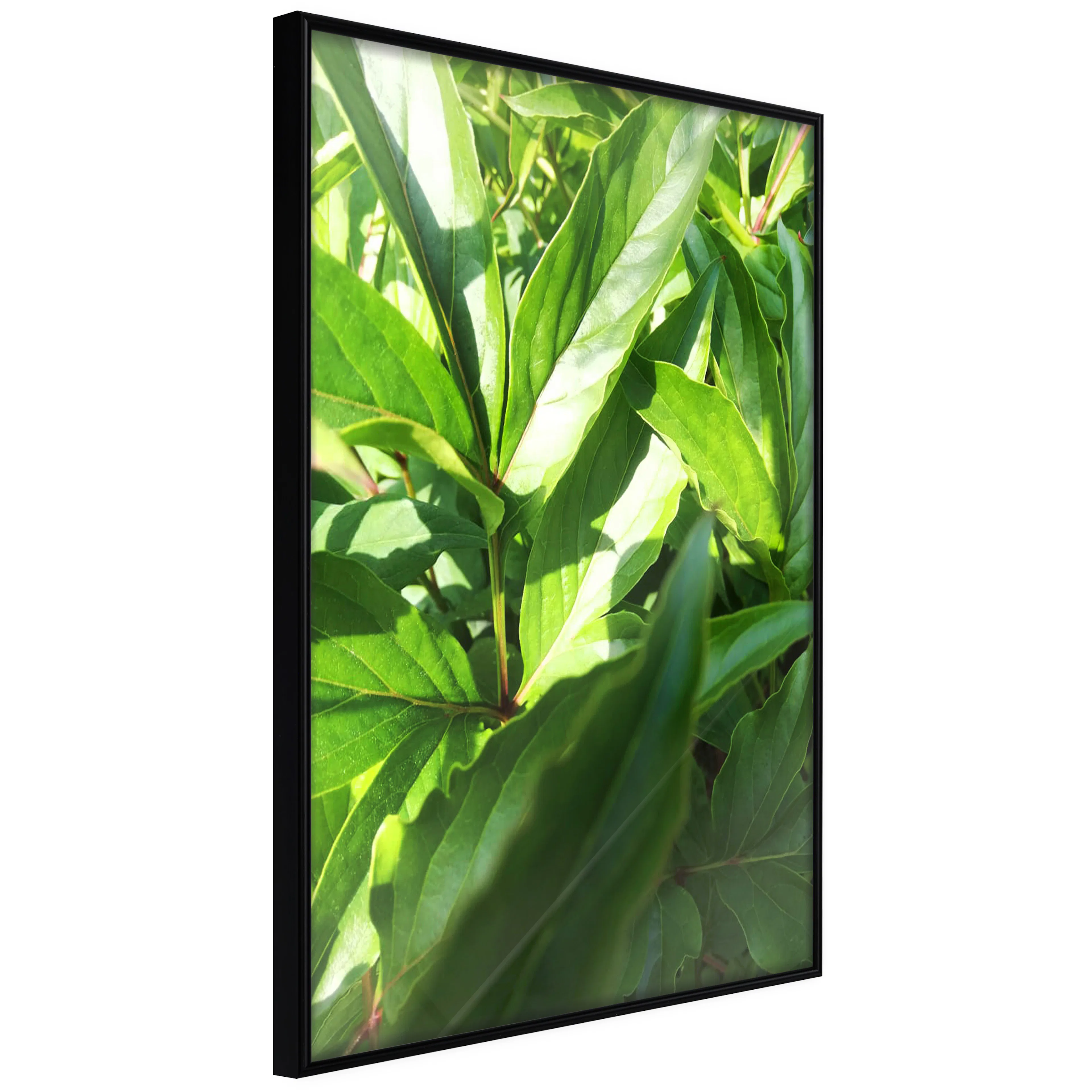 Affisch - Summer Afternoon [Poster] 20x30 Svart ram, 20x30 cm