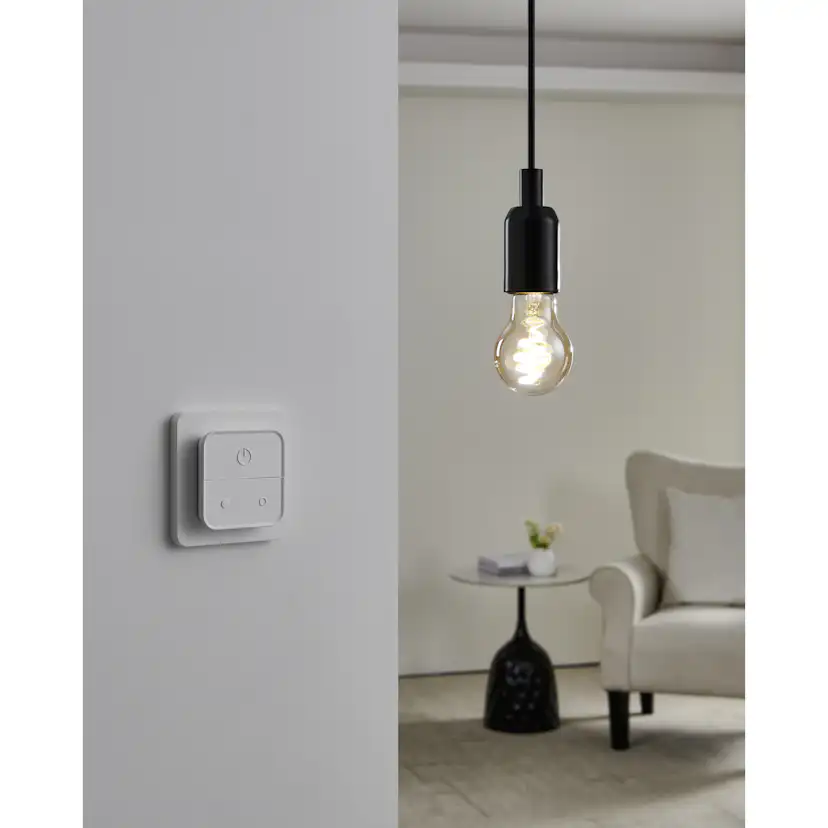 Ljuskälla Eglo 2xLM-ZIG-CCT E27 A60 4,9W Amber + Brytare