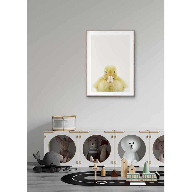 Poster Gallerix Baby Duck