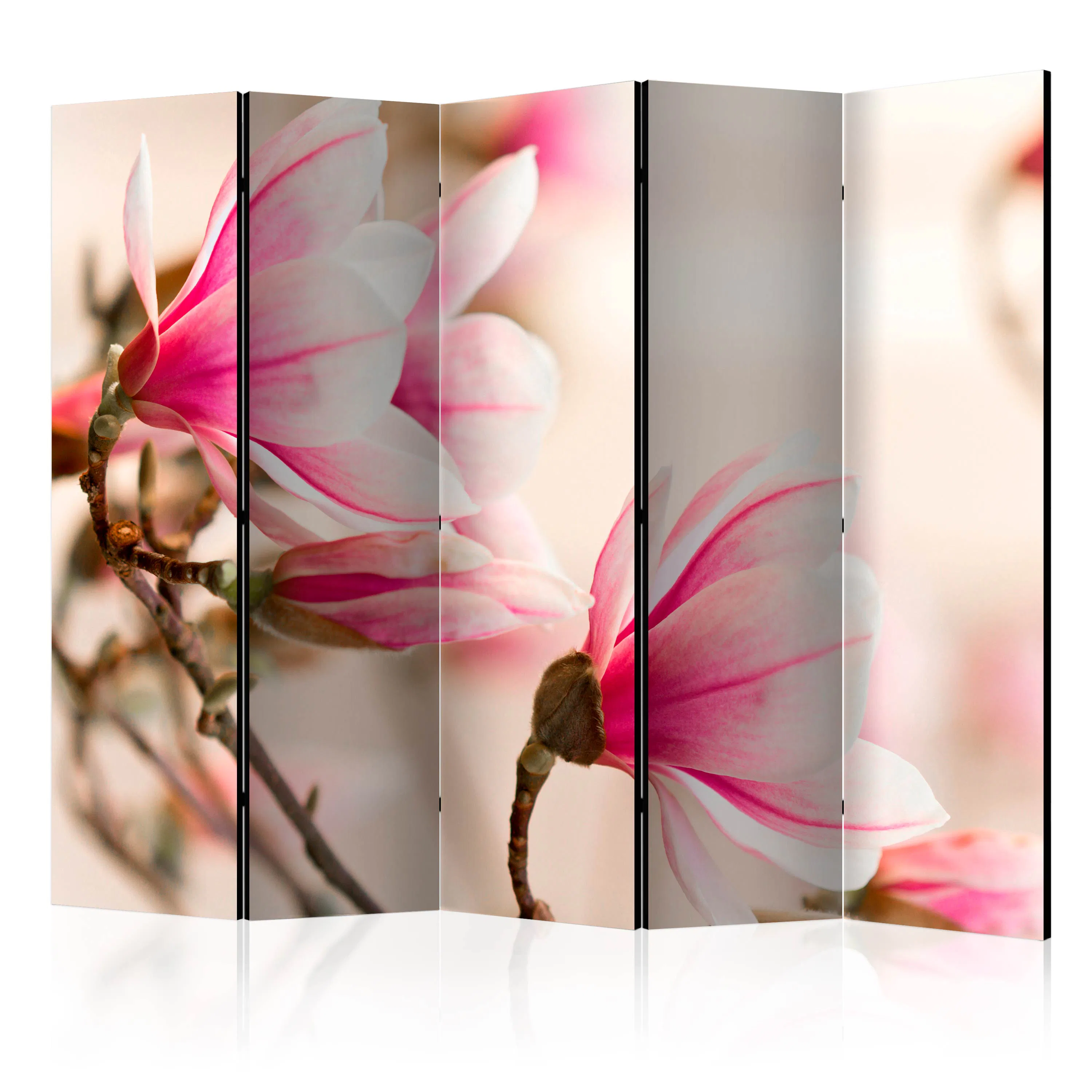 Rumsavdelare Skärmvägg Arkiio Branch of Magnolia Tree II 225x172 cm