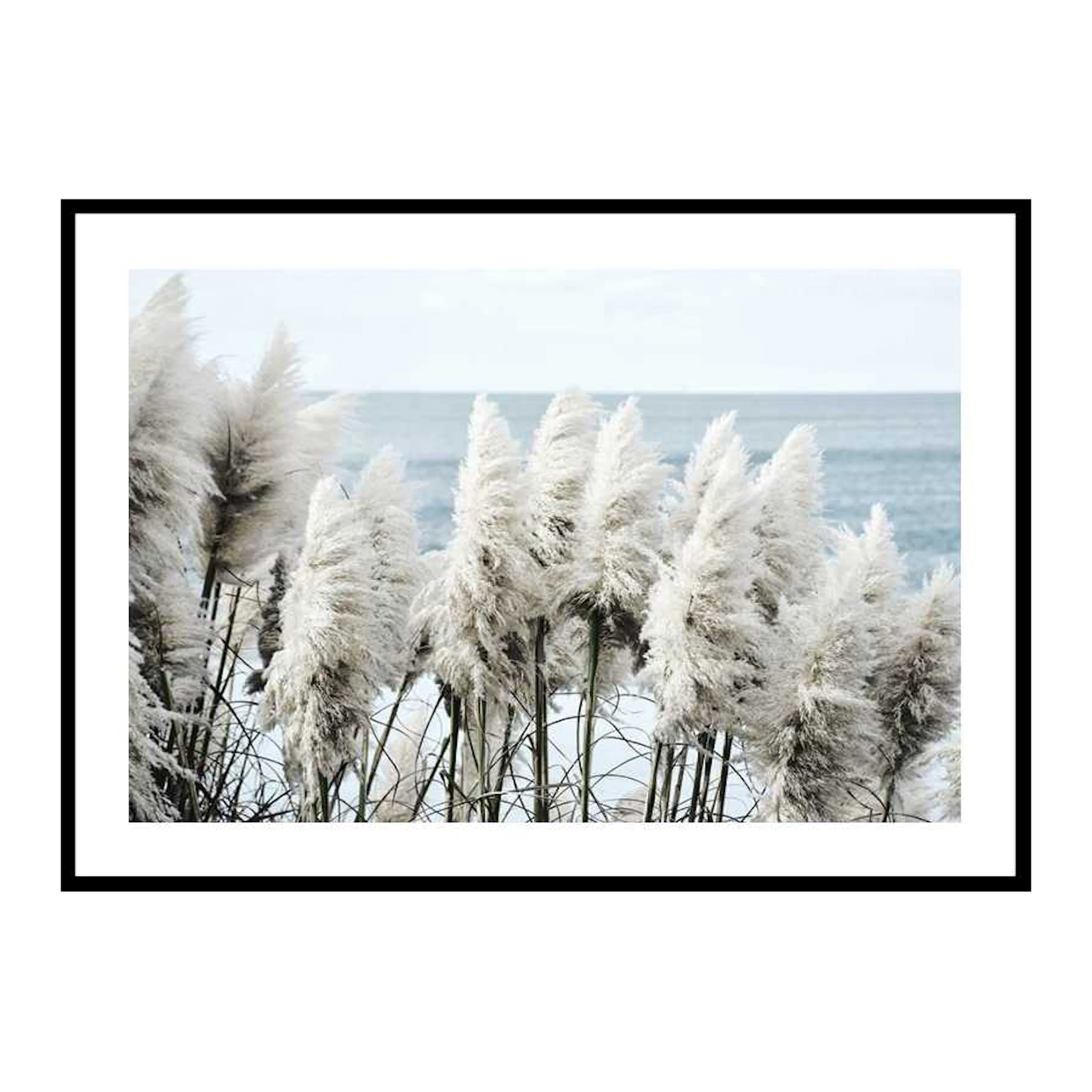 Toitoi Grass 50x70 cm