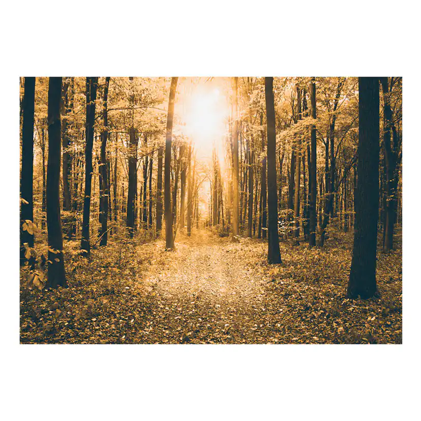 Fototapet Arkiio Magical Light