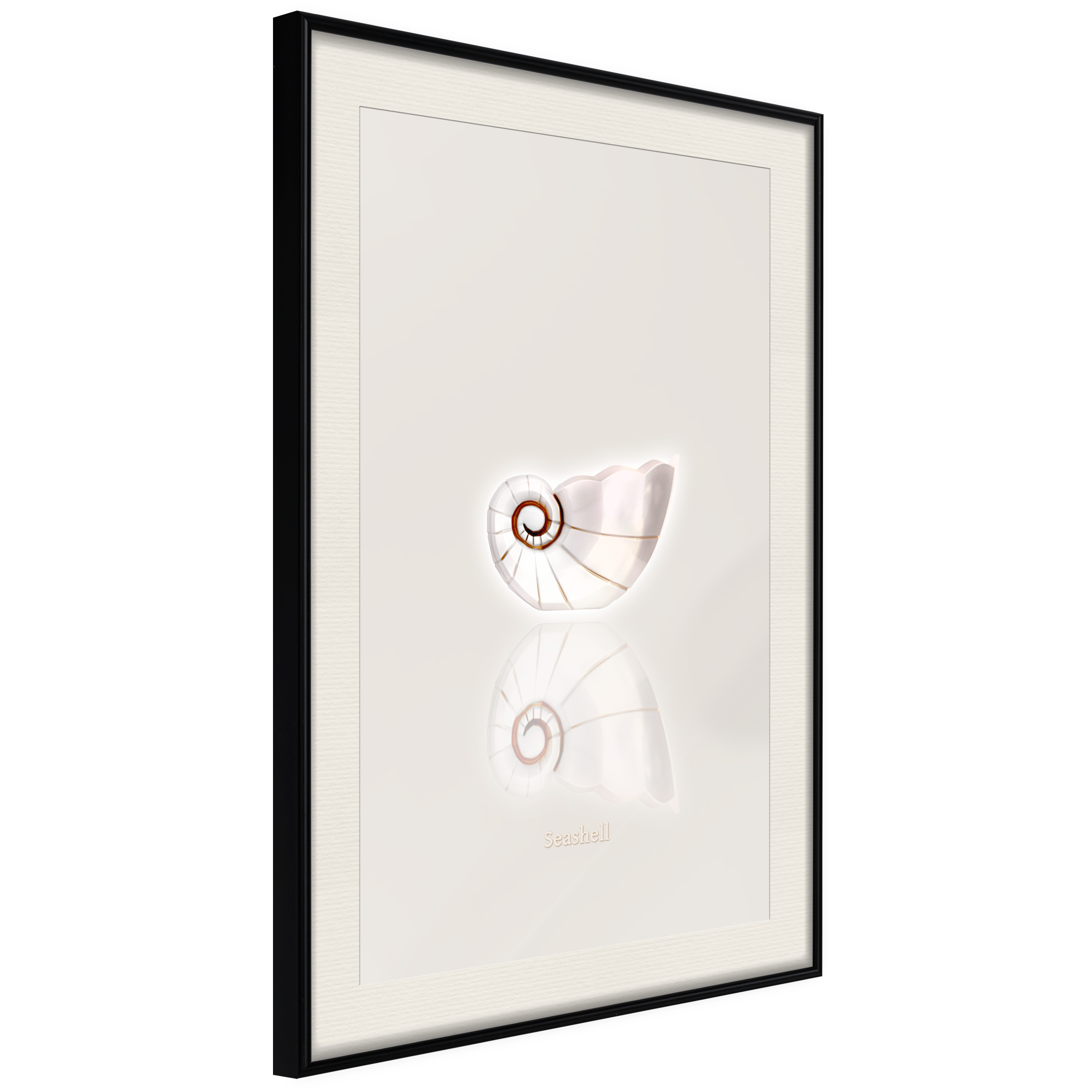 Poster Artgeist Affisch Ceramic Shell