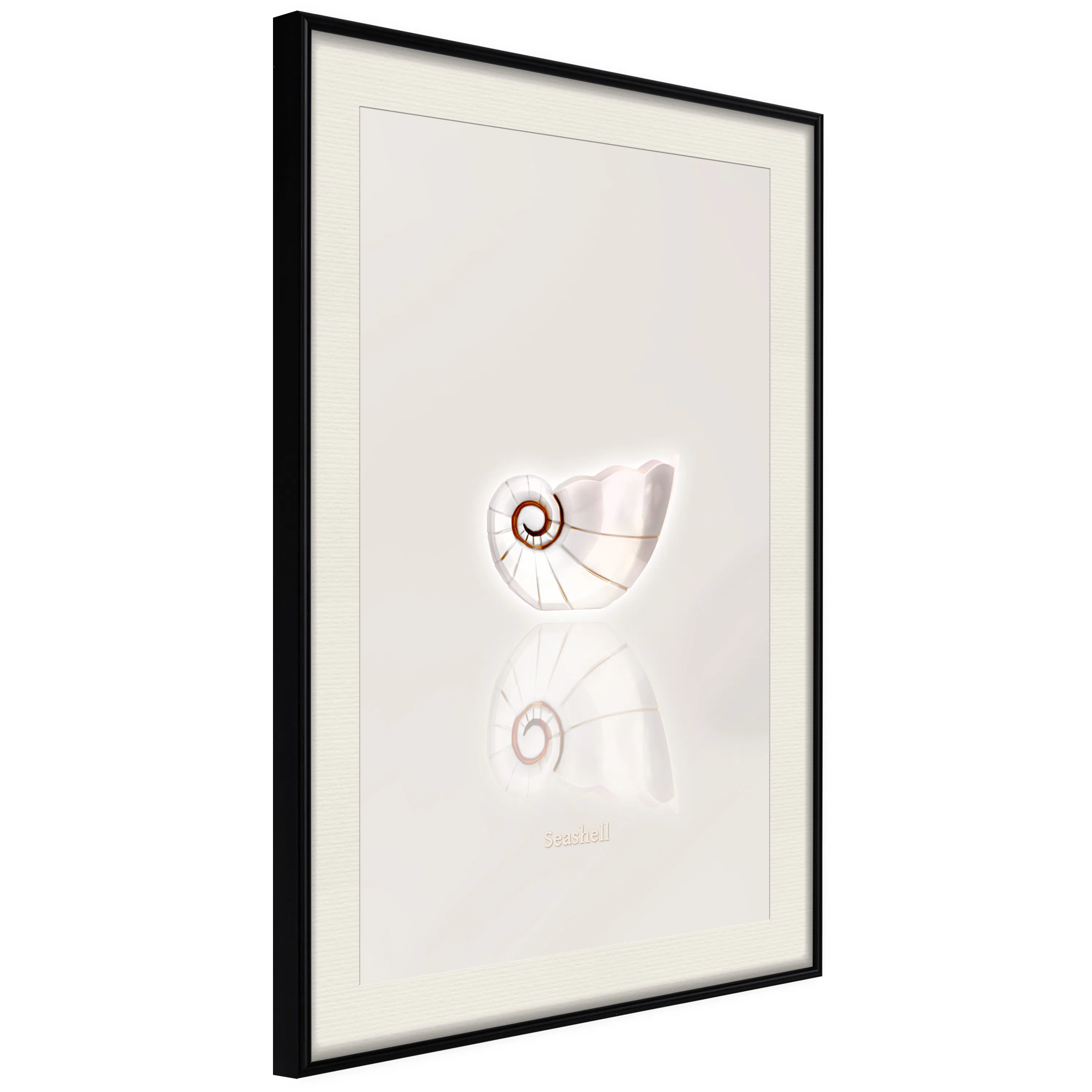 Poster Artgeist Affisch Ceramic Shell