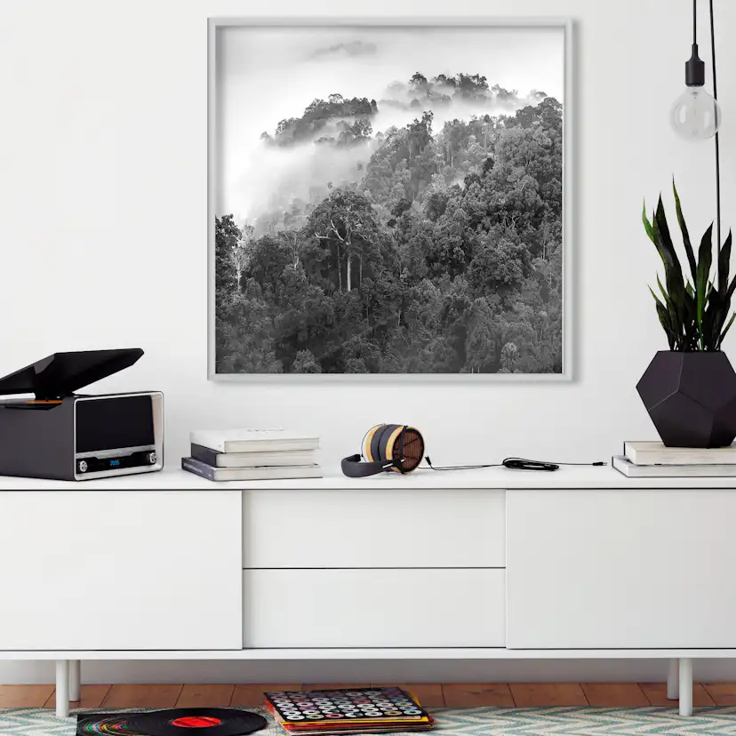 Poster Artgeist Affisch Rainforest