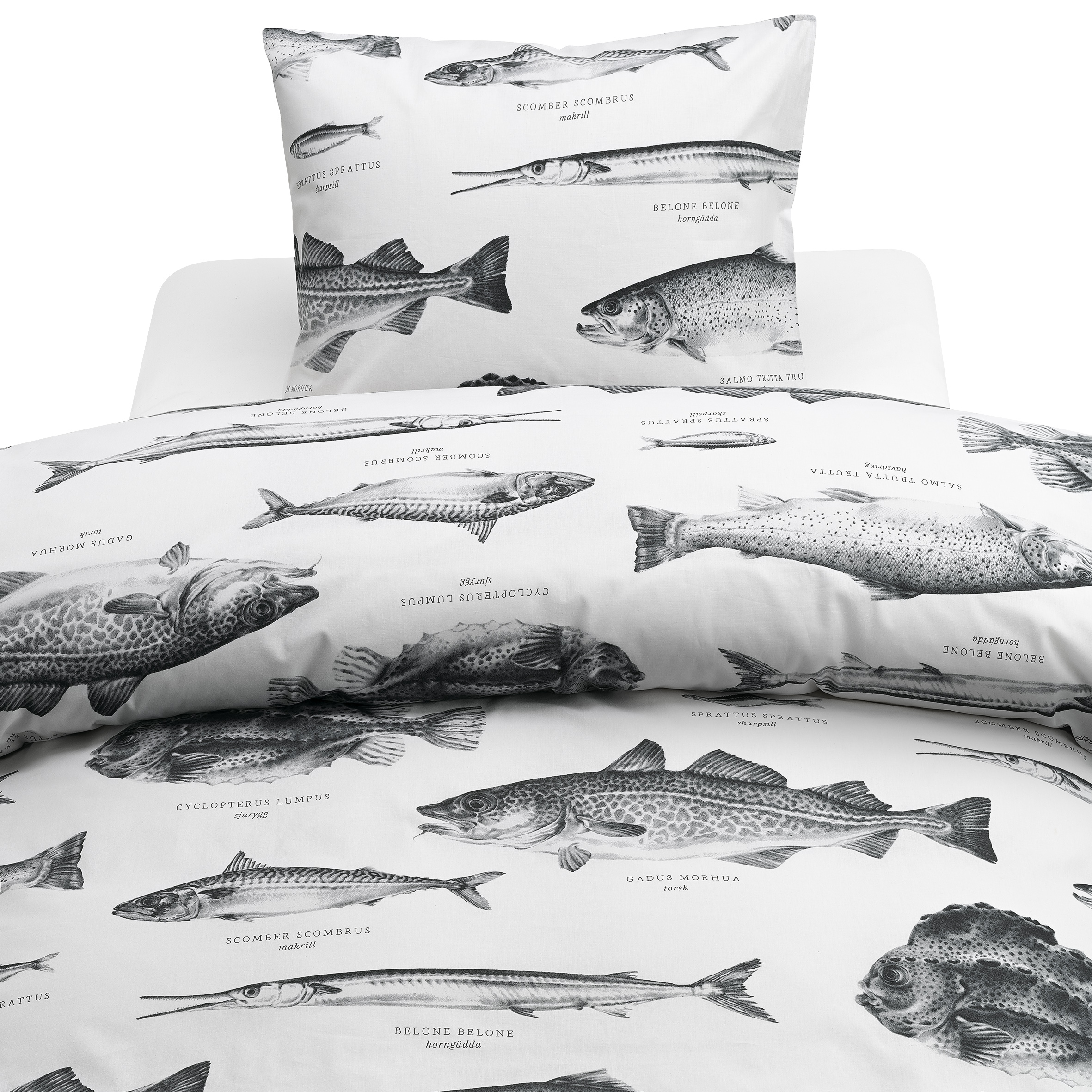 Påslakanset Borganäs of Sweden Havsfiskar