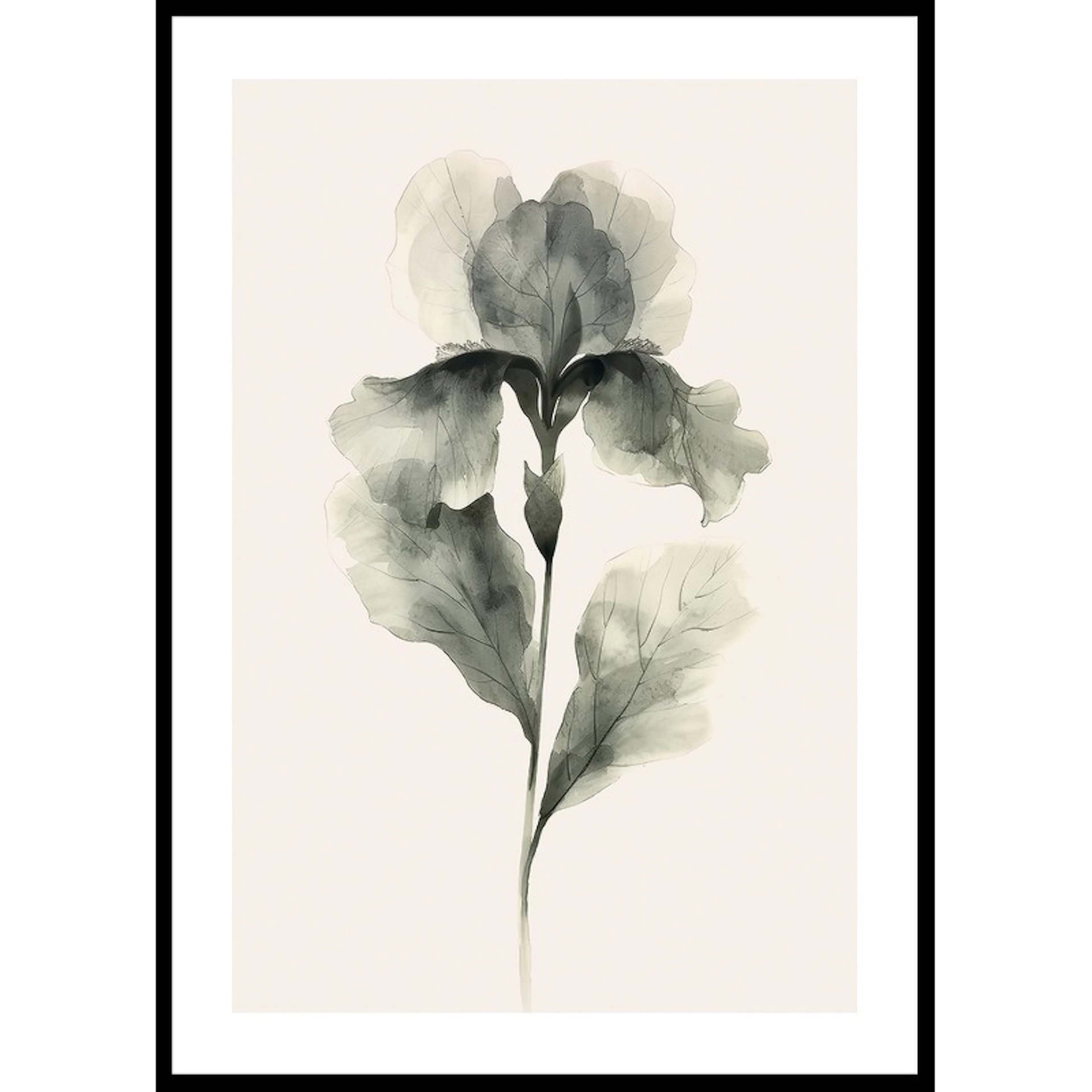 Aquarelle Bloom 30x40 30x40 cm