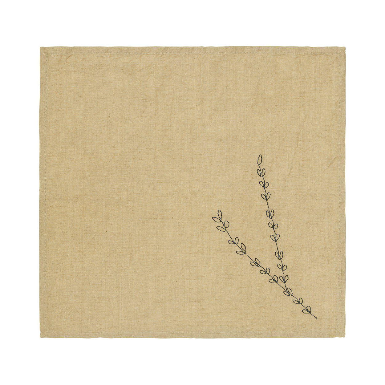 Servett Svanefors Amie