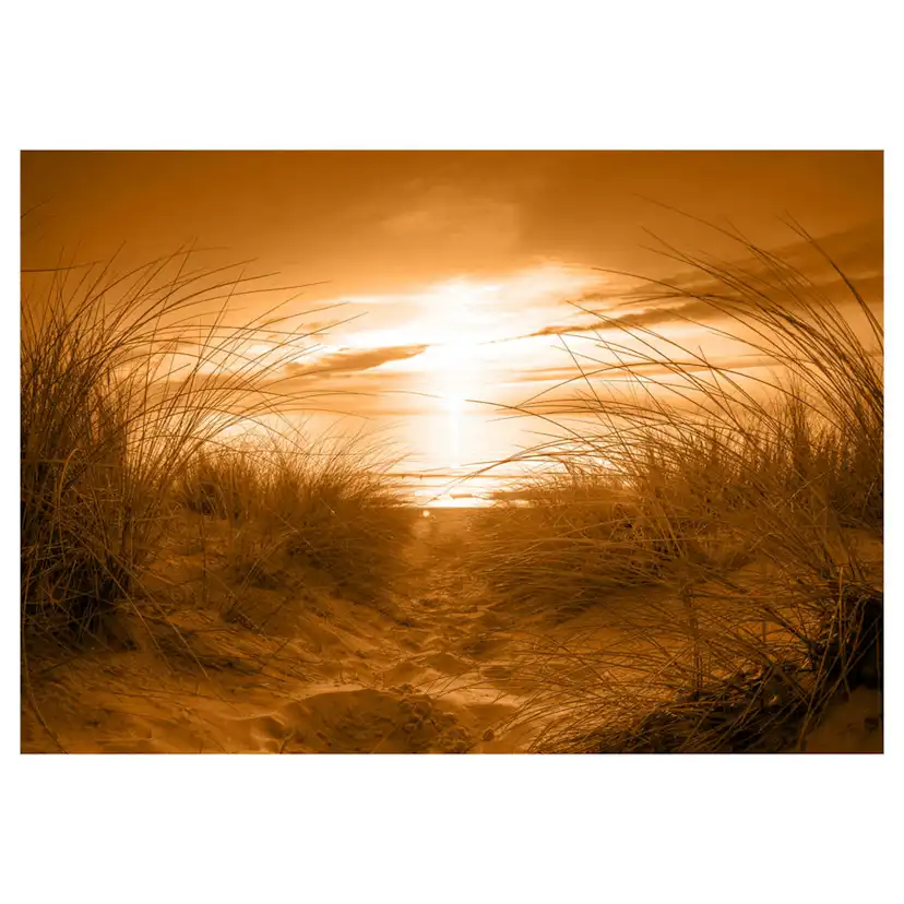 Fototapet Arkiio Självhäftande Beach Sepia
