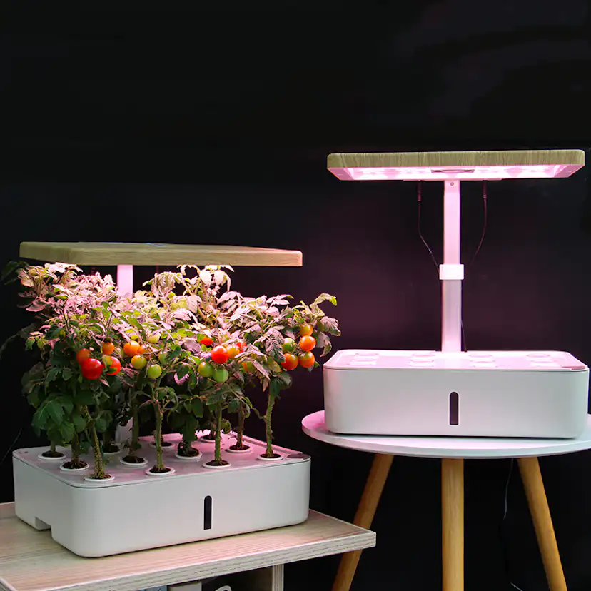 Hydroponisk Odlingslåda RobotGarden Hydroponisk Odling med Startkit & Växtlampa, Vit