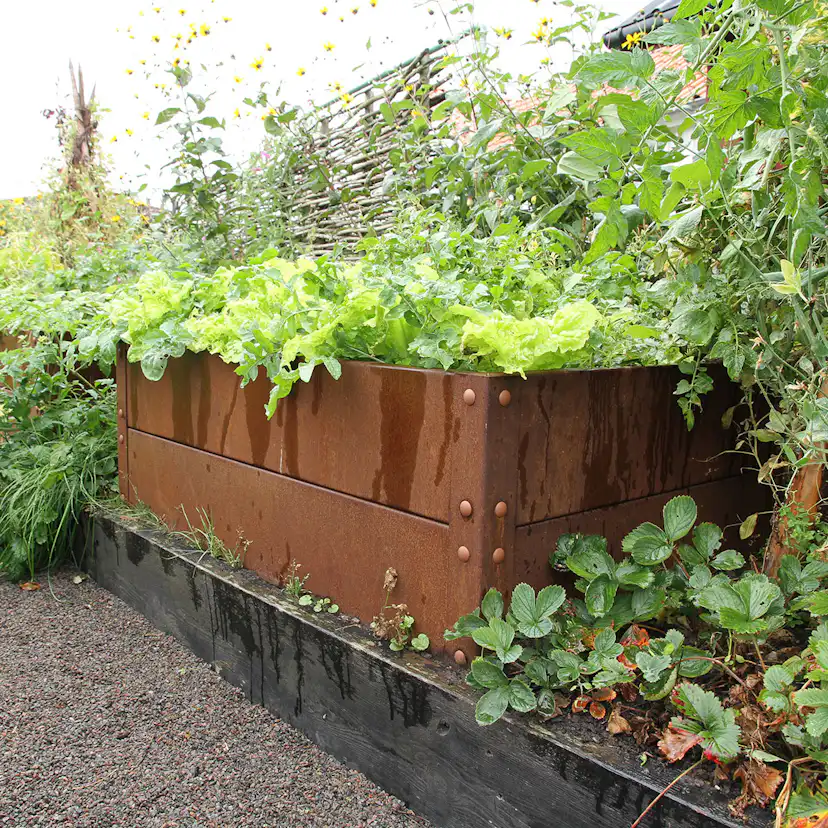 Odlingslåda Flexigarden Cortenplåt 2 mm 800x1200x400 mm