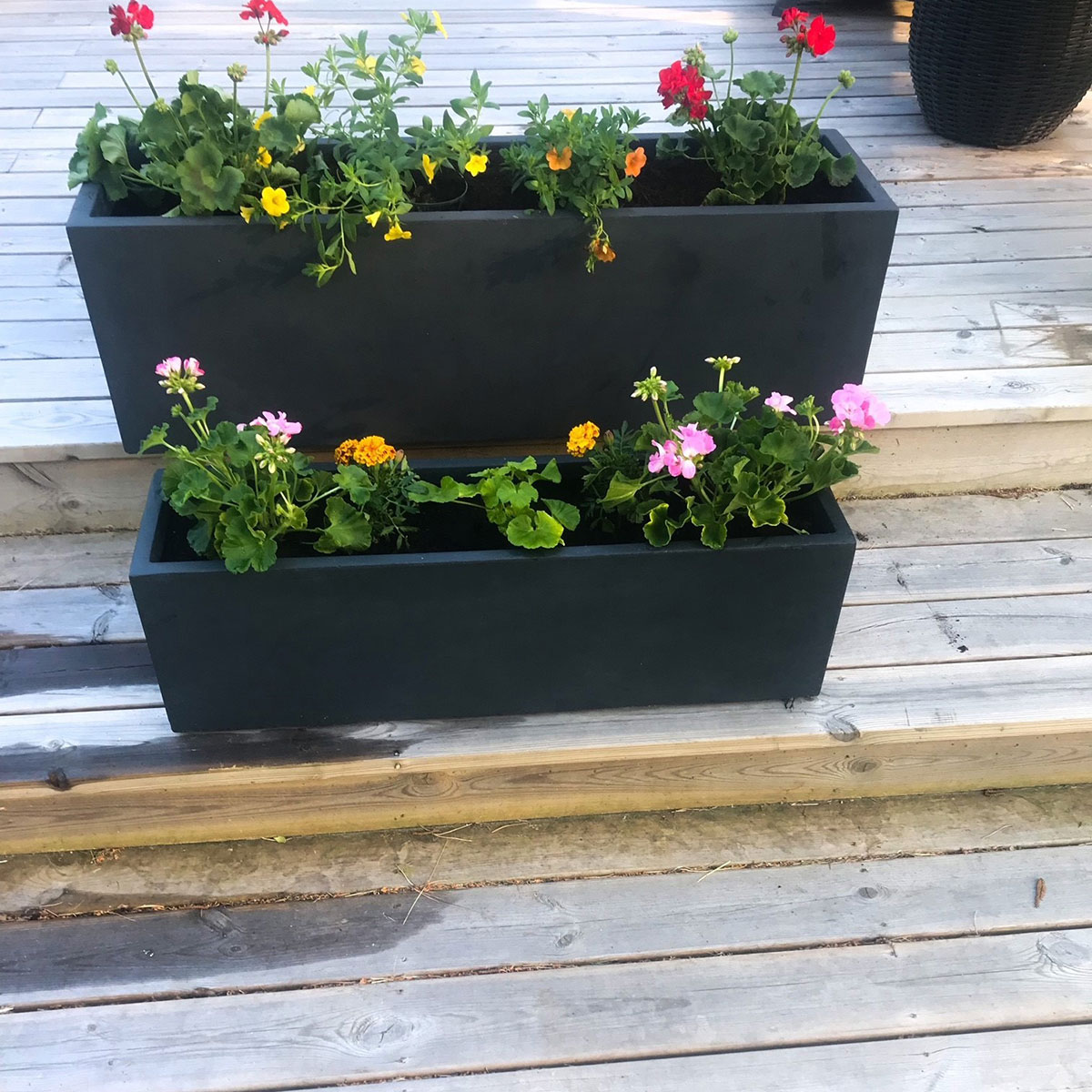 Blomlåda Lyfco Svart 100