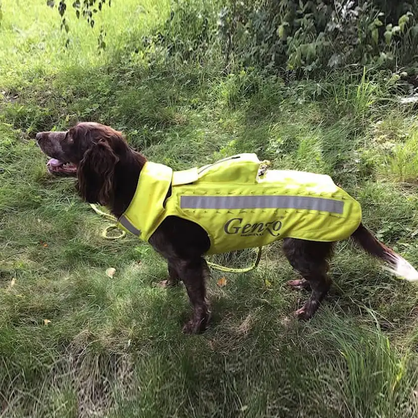 Skyddsväst Genzo Wild Boar för Hund