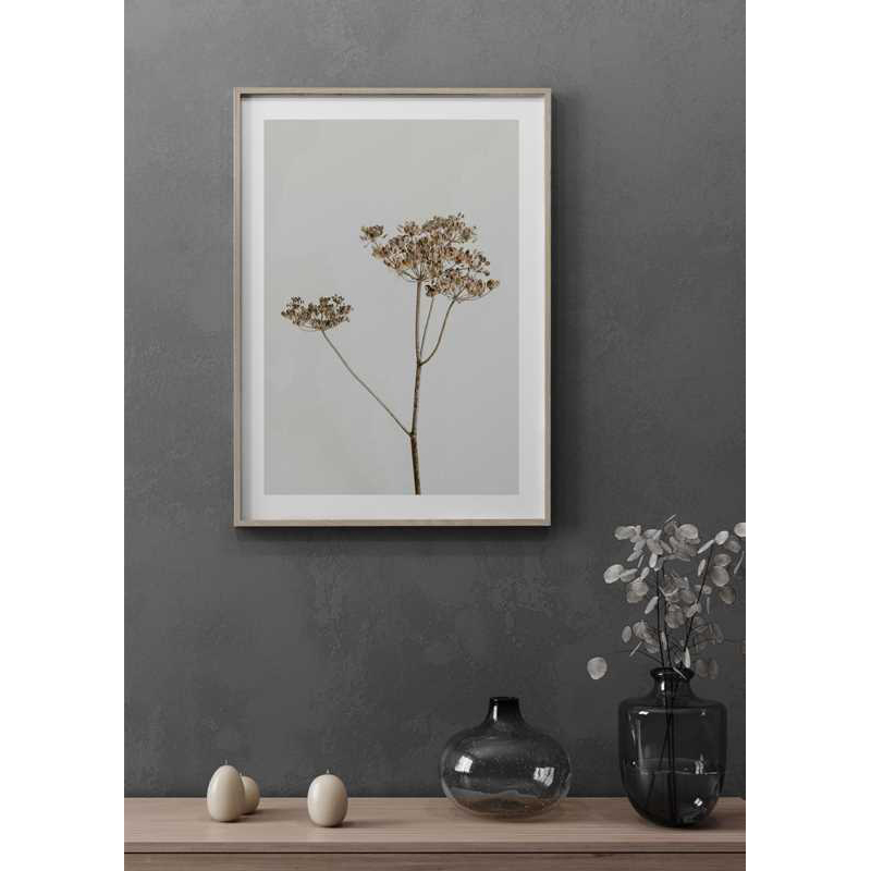 Poster Gallerix Single Dried Flower