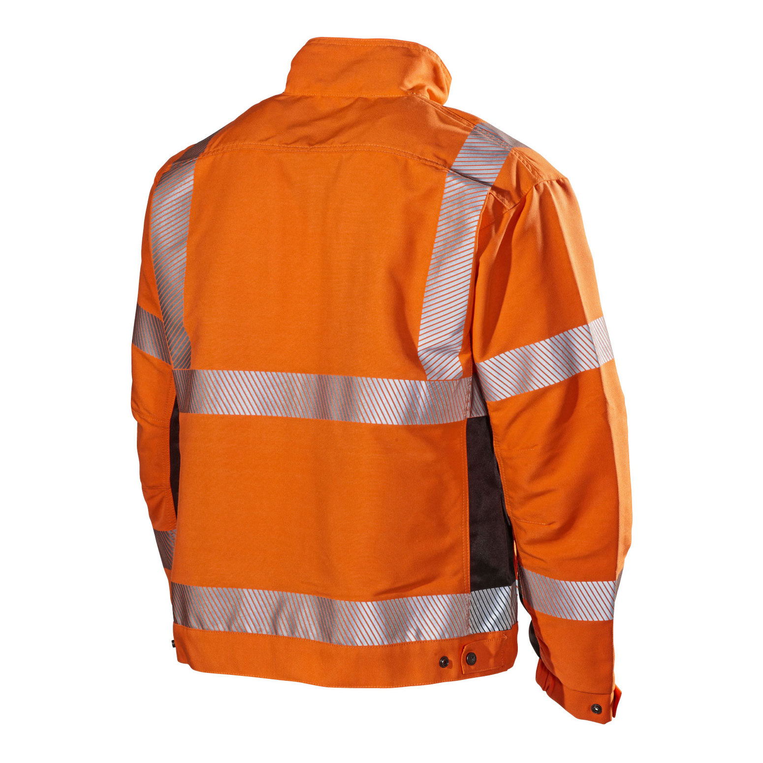 Jacka L.Brador 425PB