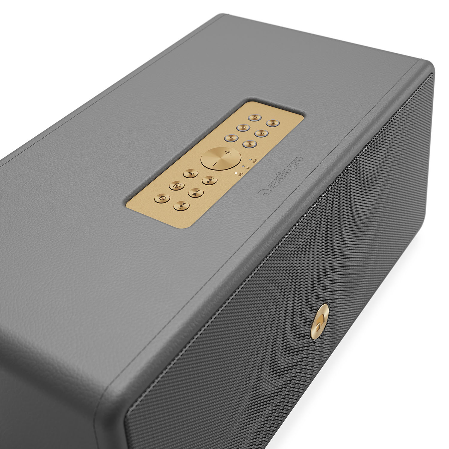 AUDIO PRO Högtalare D2 W Multiroom