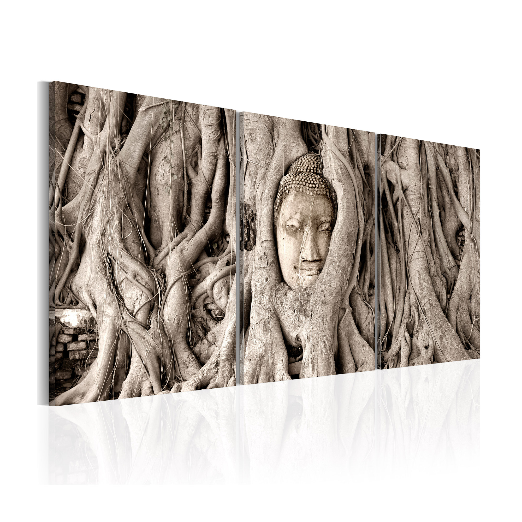 Tavla Arkiio Meditation's Tree