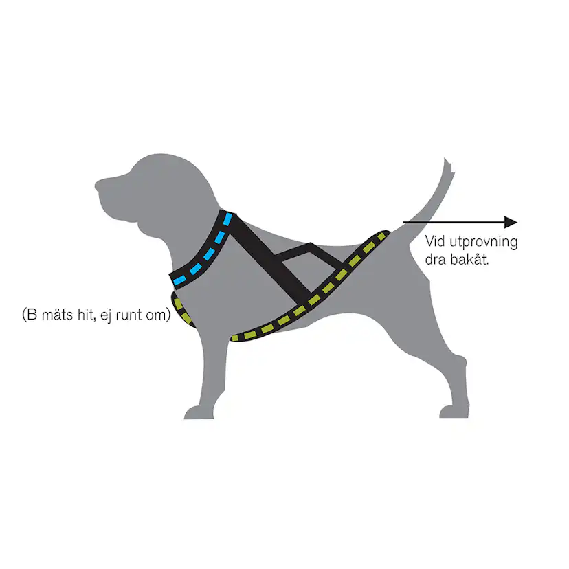 Drag-/kombisele Kennel Equip Nome Active