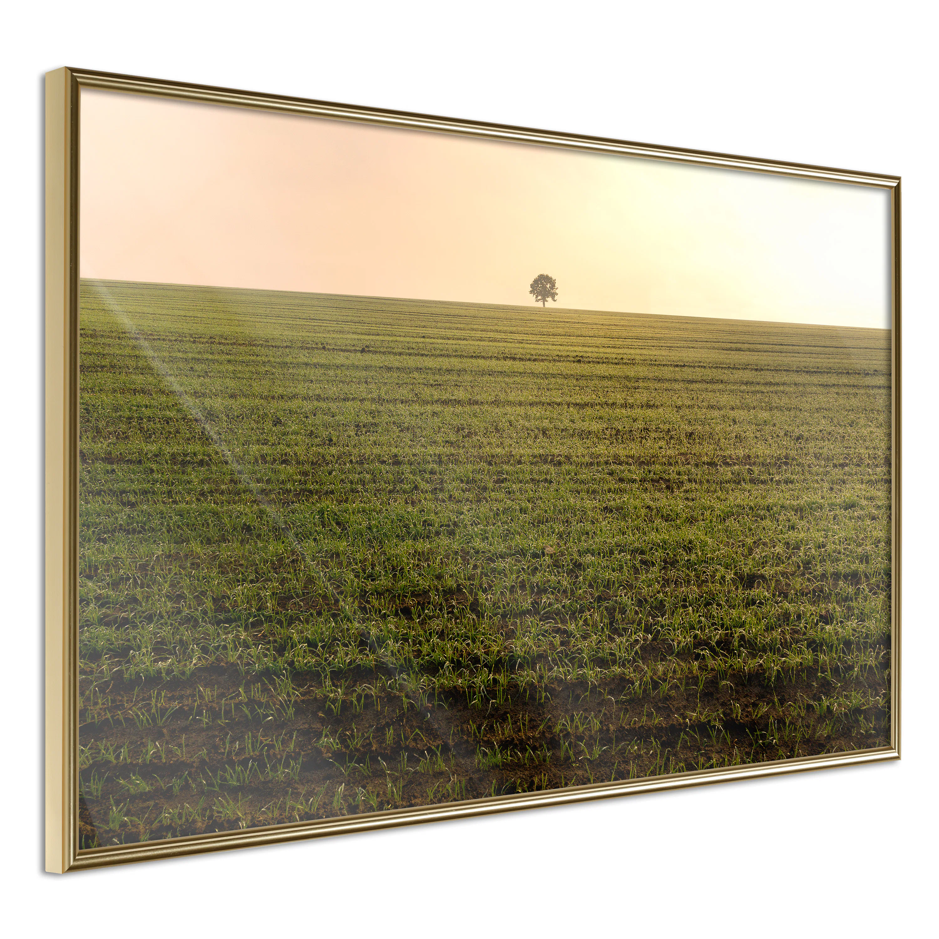 Poster Artgeist Affisch Autumn Morning