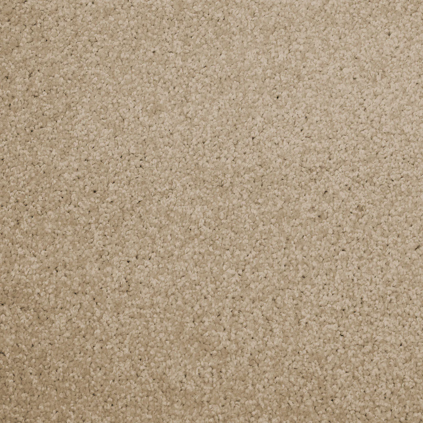 Ljusbeige