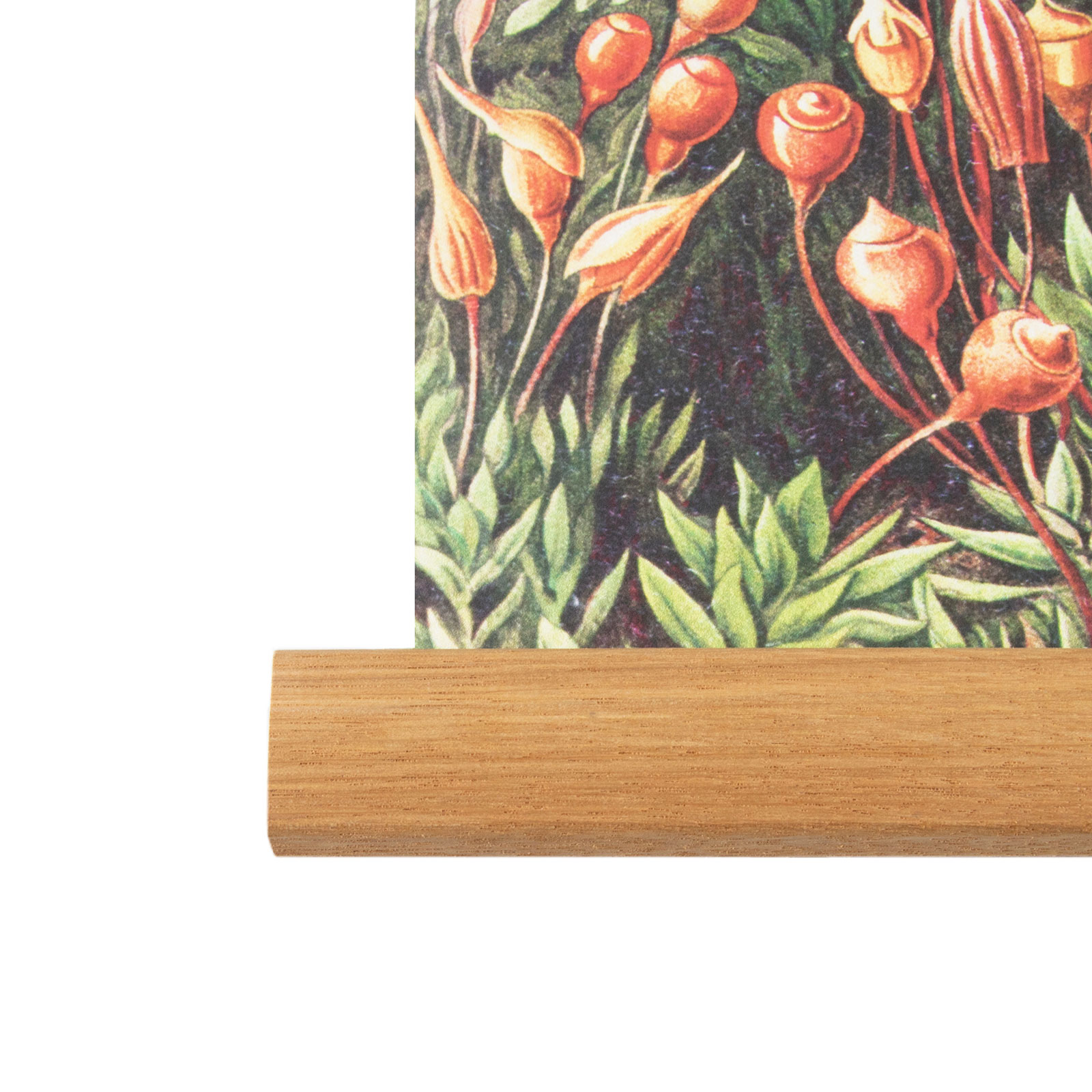 Hängande Affisch Art for the Home Forest 80x60