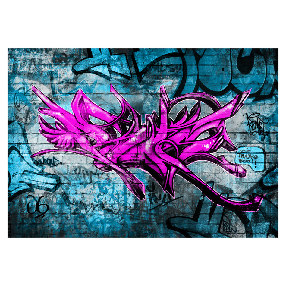 Anonymous graffiti 350x245 Storlek: 350x245 cm