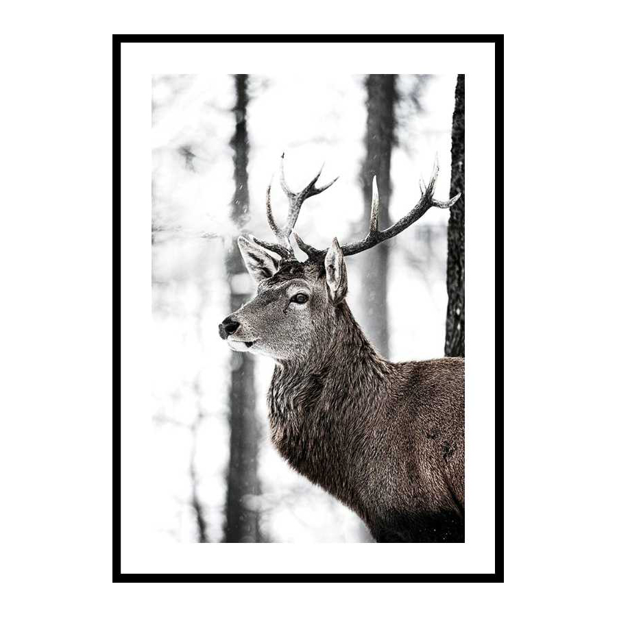 Poster Gallerix Stag In Forest