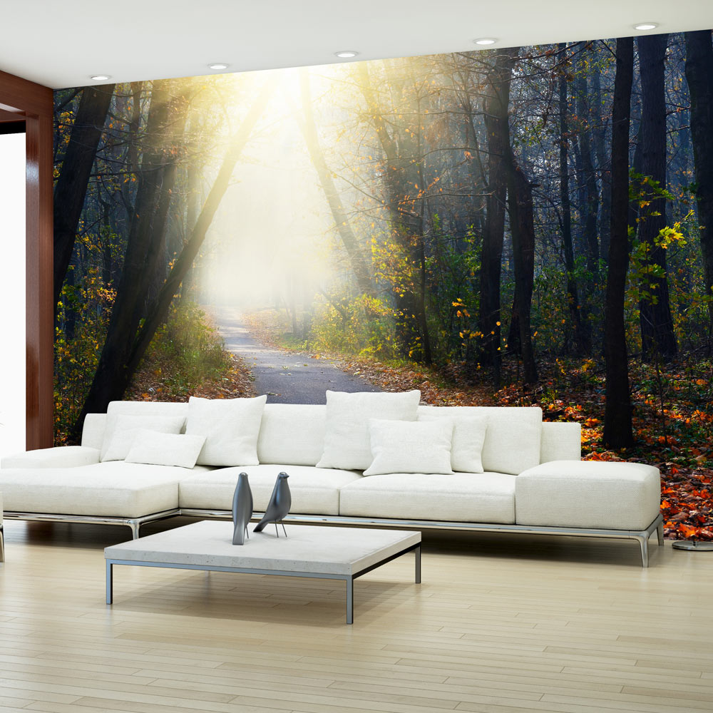 Fototapet Arkiio Road Through The Forest