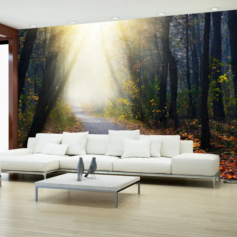 Fototapet Arkiio Road Through The Forest