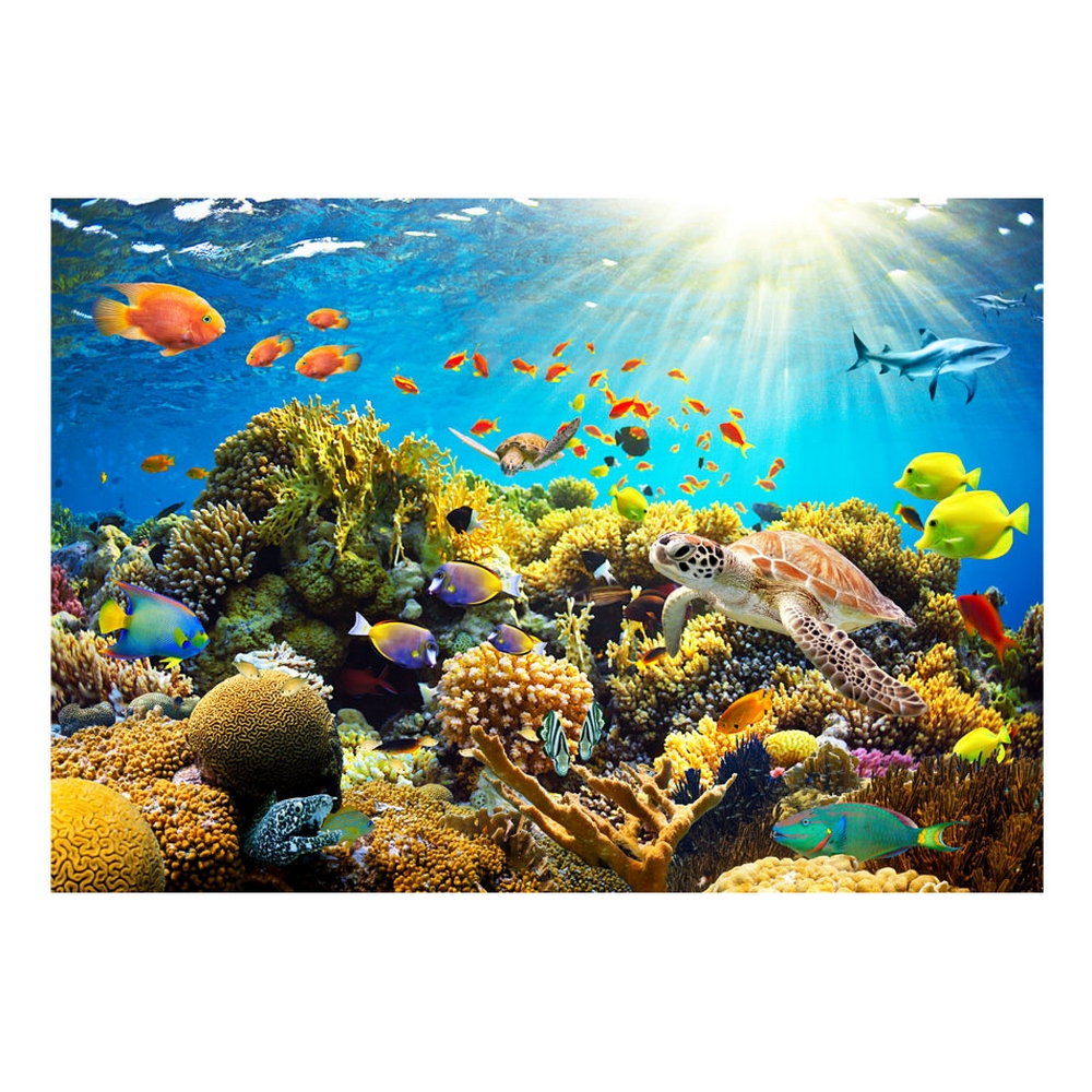 Fototapet Arkiio Självhäftande Underwater Land