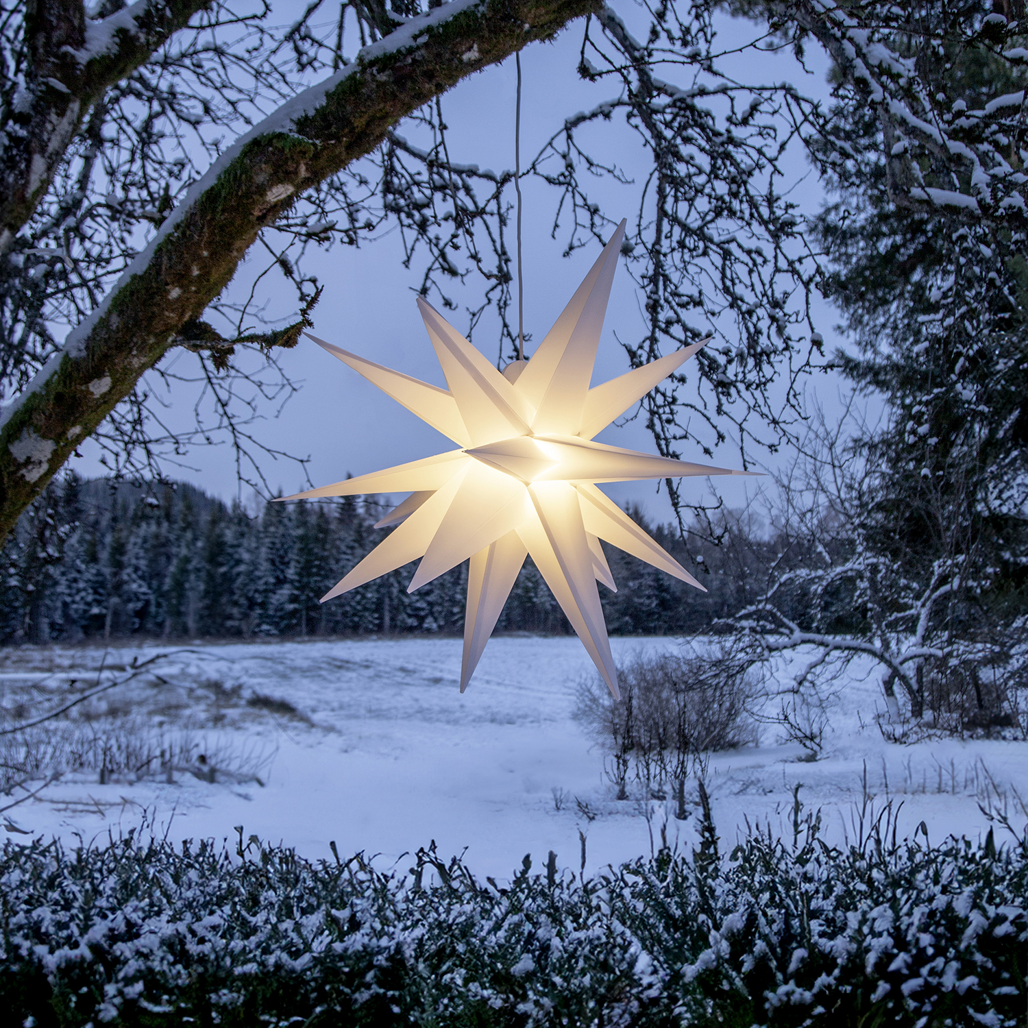 Stjärna Star Trading Alice 100 cm