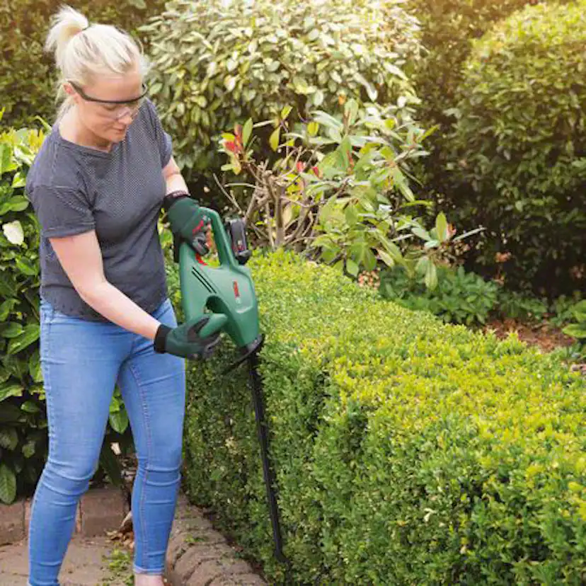 Häcksax Bosch Power Tools EasyHedgeCut 18V-45 2X2AH 1810CV