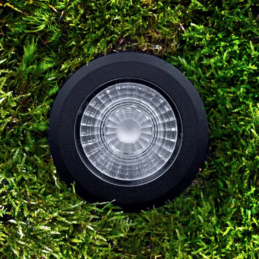 Markspot/Inground Lightson Castor