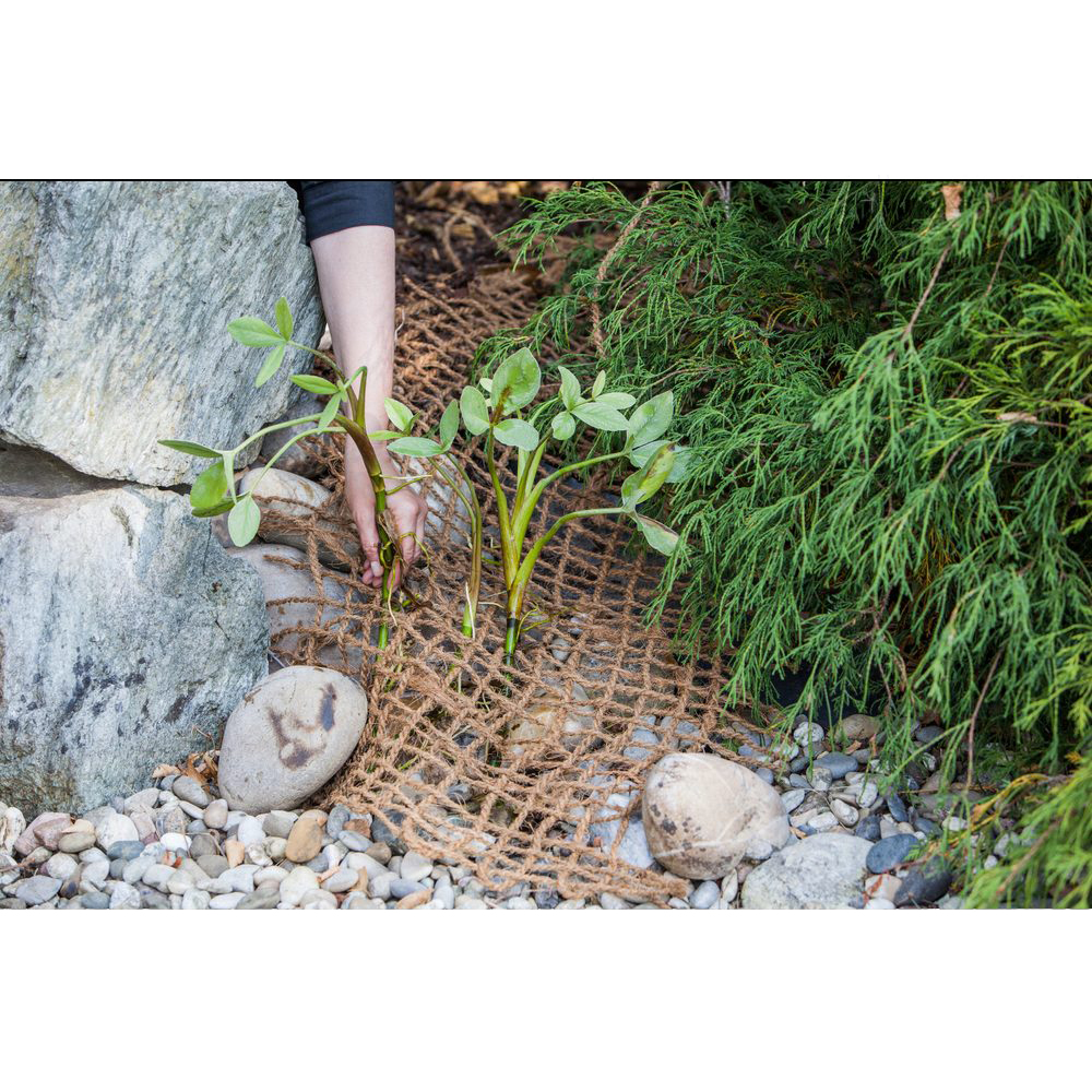 Planteringsmatta för Damm Heissner 50x1 m