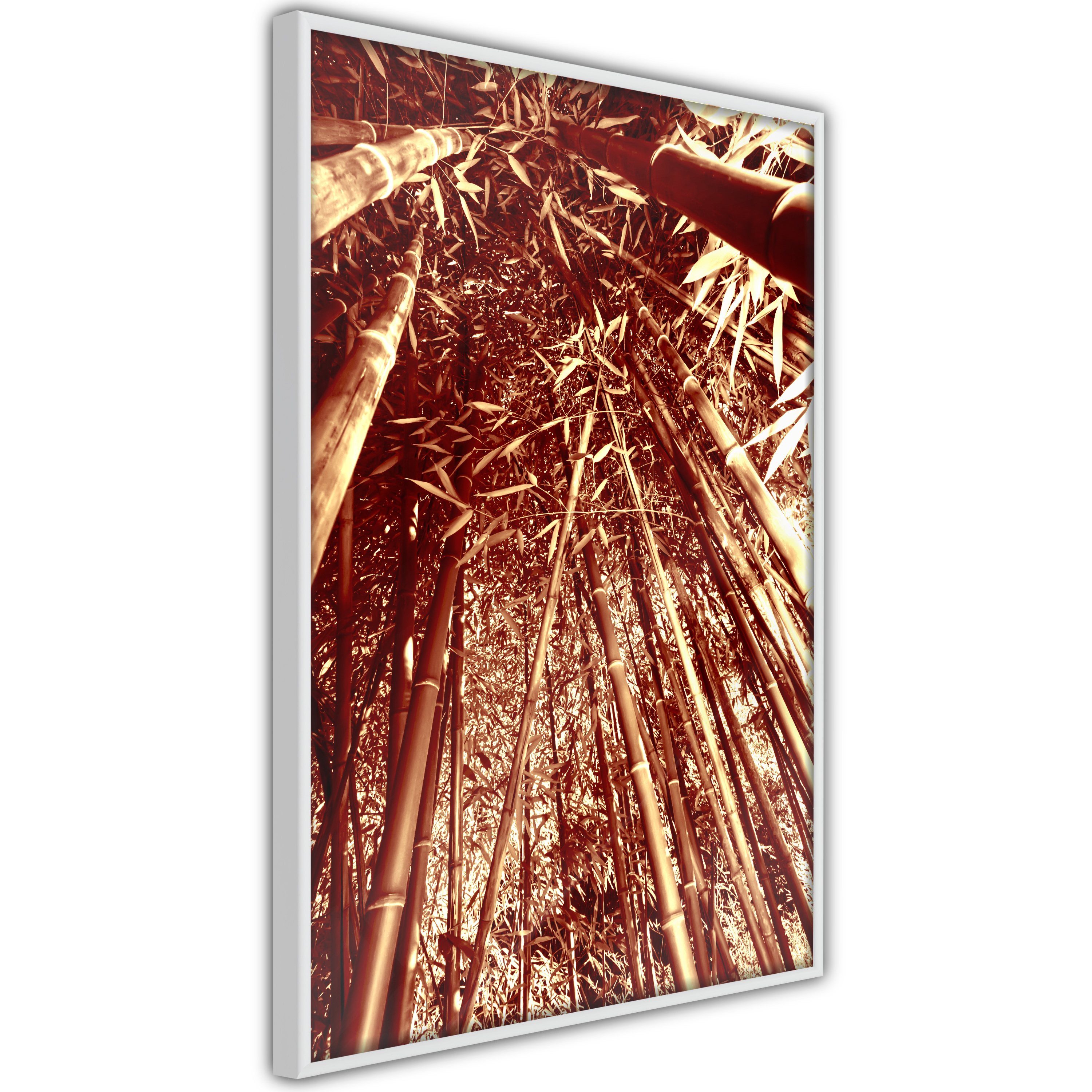 Poster Artgeist Affisch Tall Bamboos