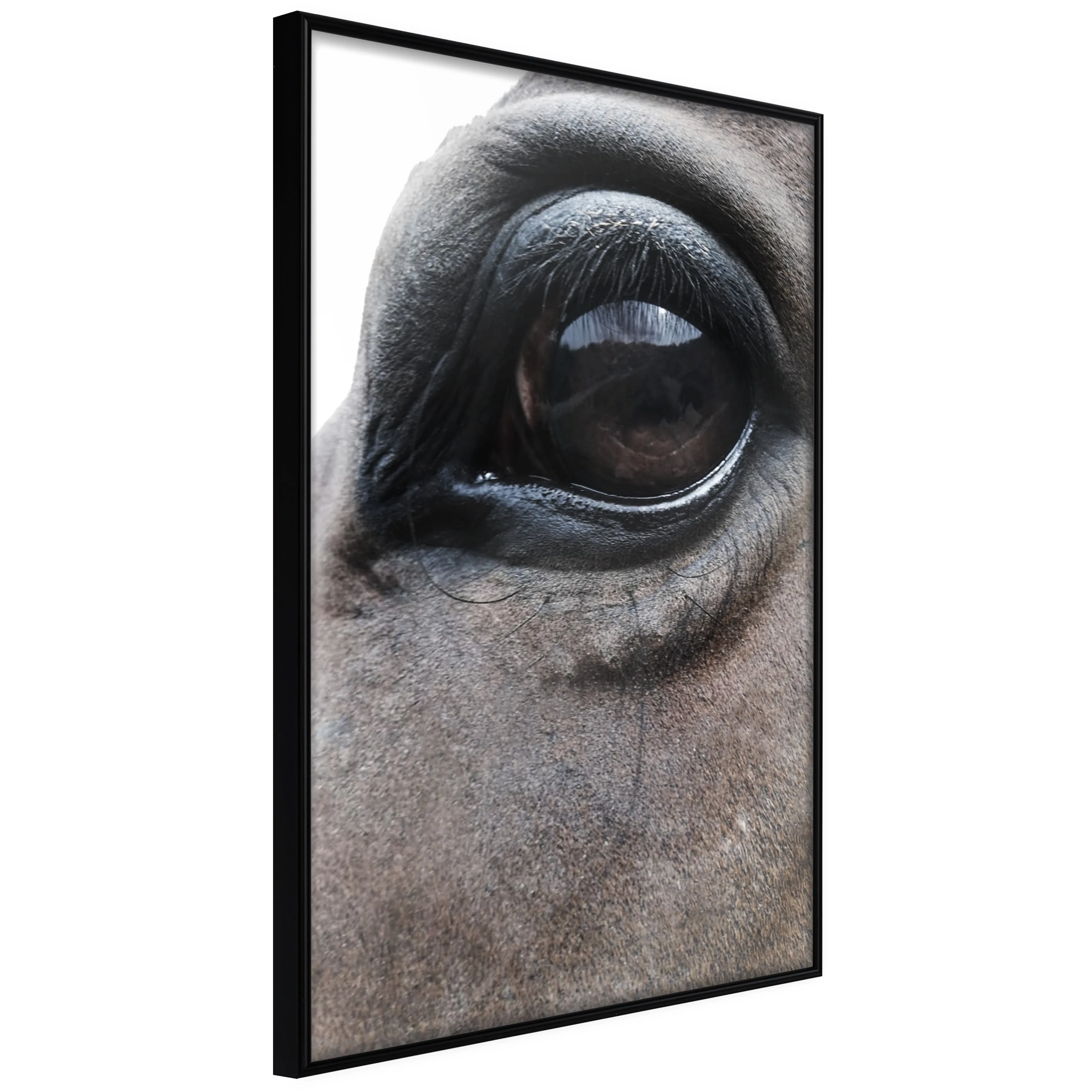 Affisch - Honest Eyes [Poster] 20x30 Svart ram, 20x30 cm