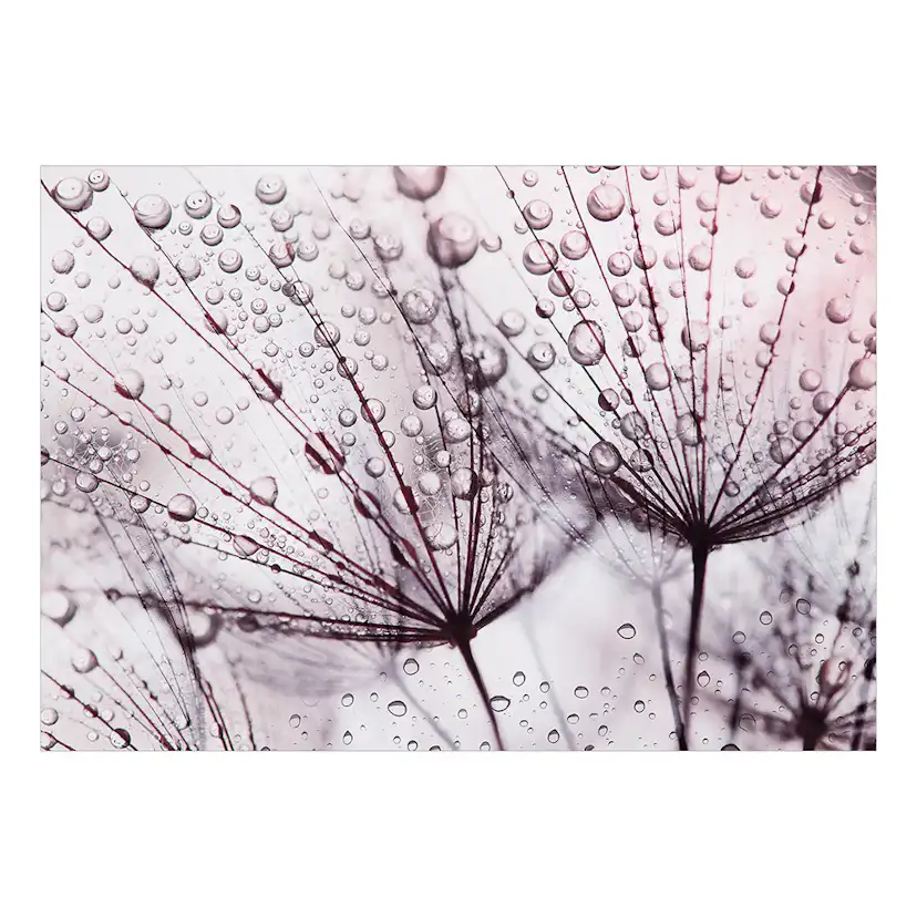 Fototapet Arkiio Självhäftande Rainy Time