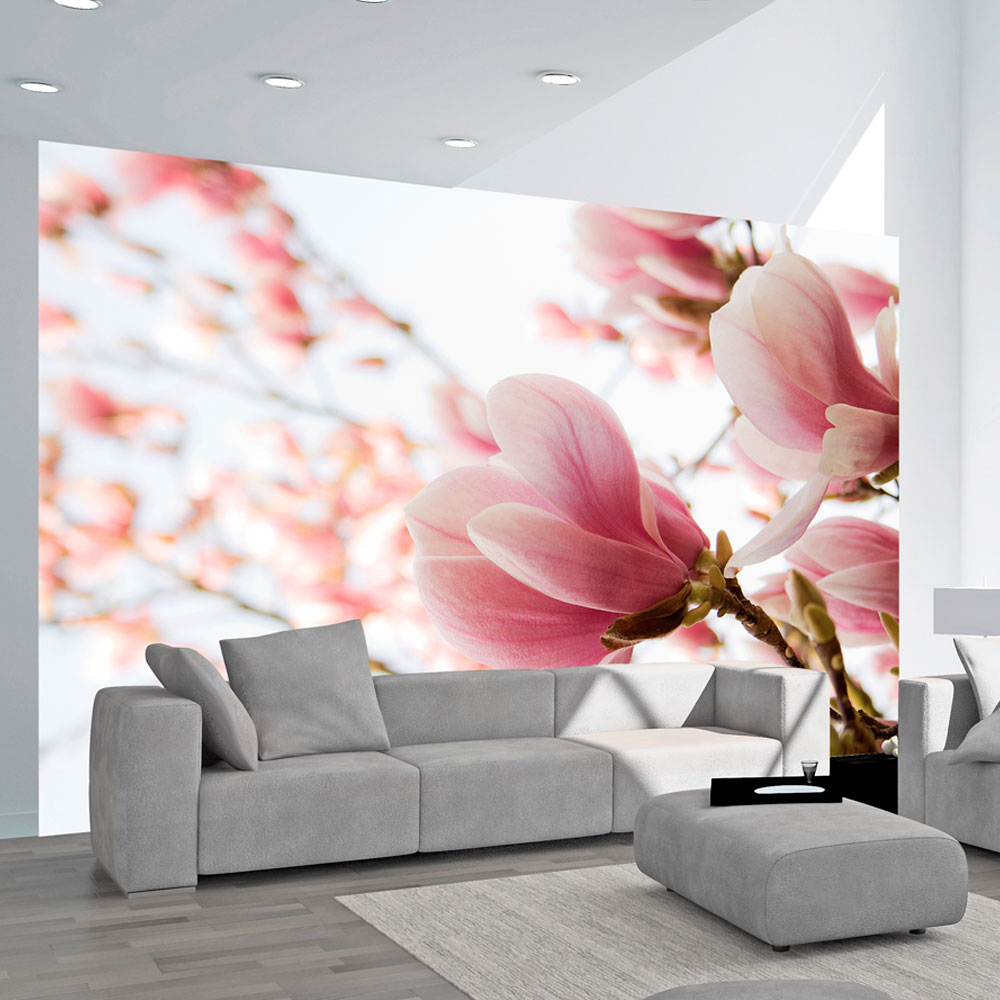 Fototapet Arkiio Rosa Magnolia