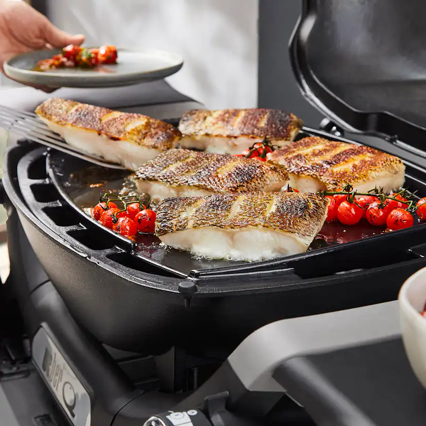 Stekbord Weber Fullstort Q1XXXN