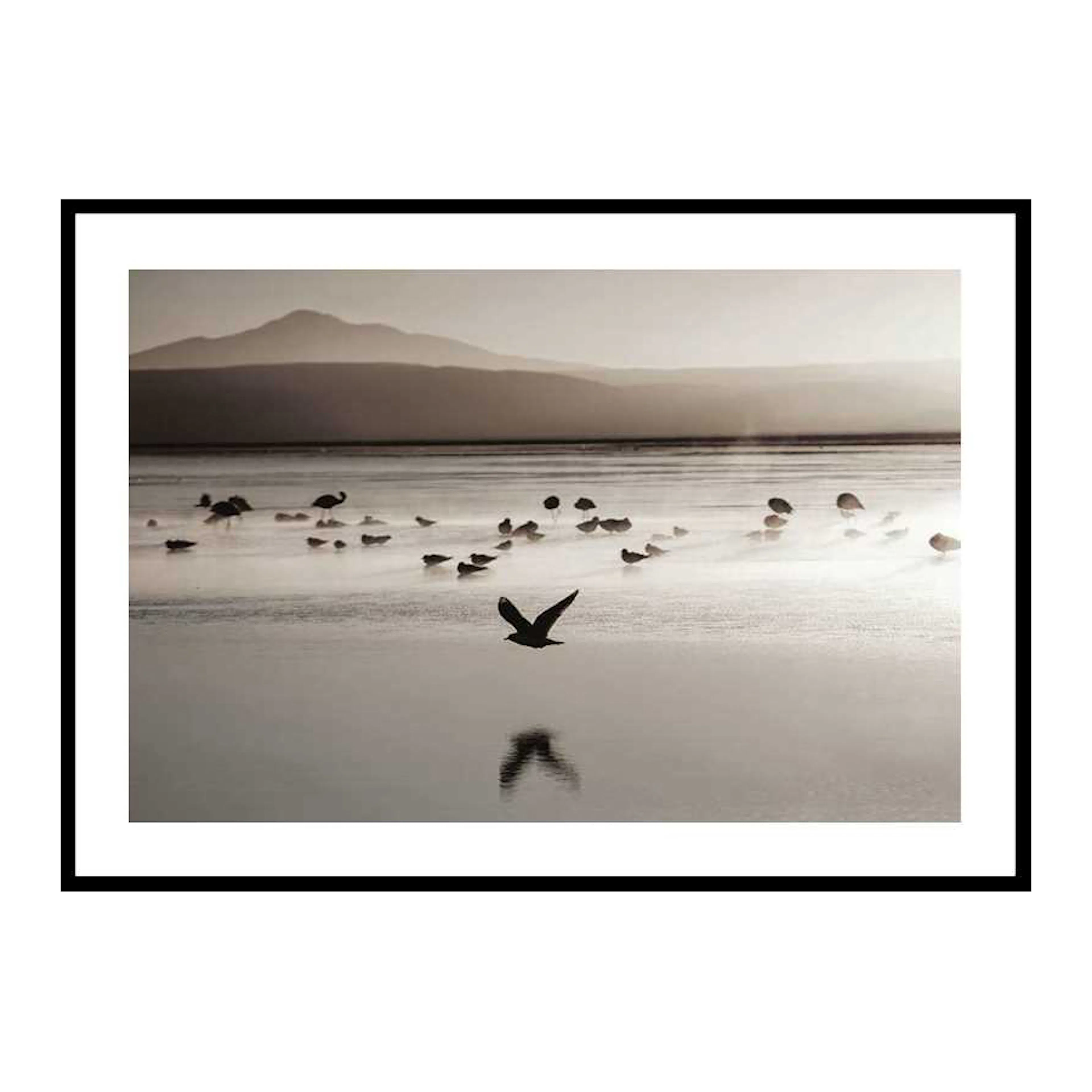Birds In Nature 30x40 cm